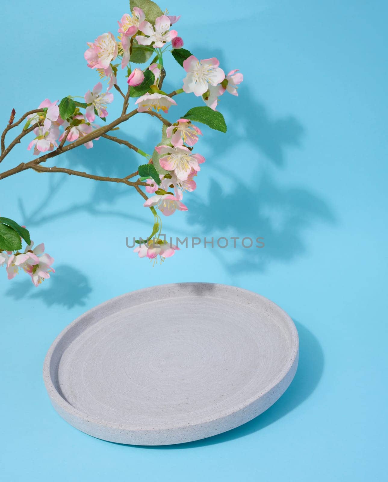 Round empty plate on a blue background and a cherry branch with flowers, a place to display cosmetics and products