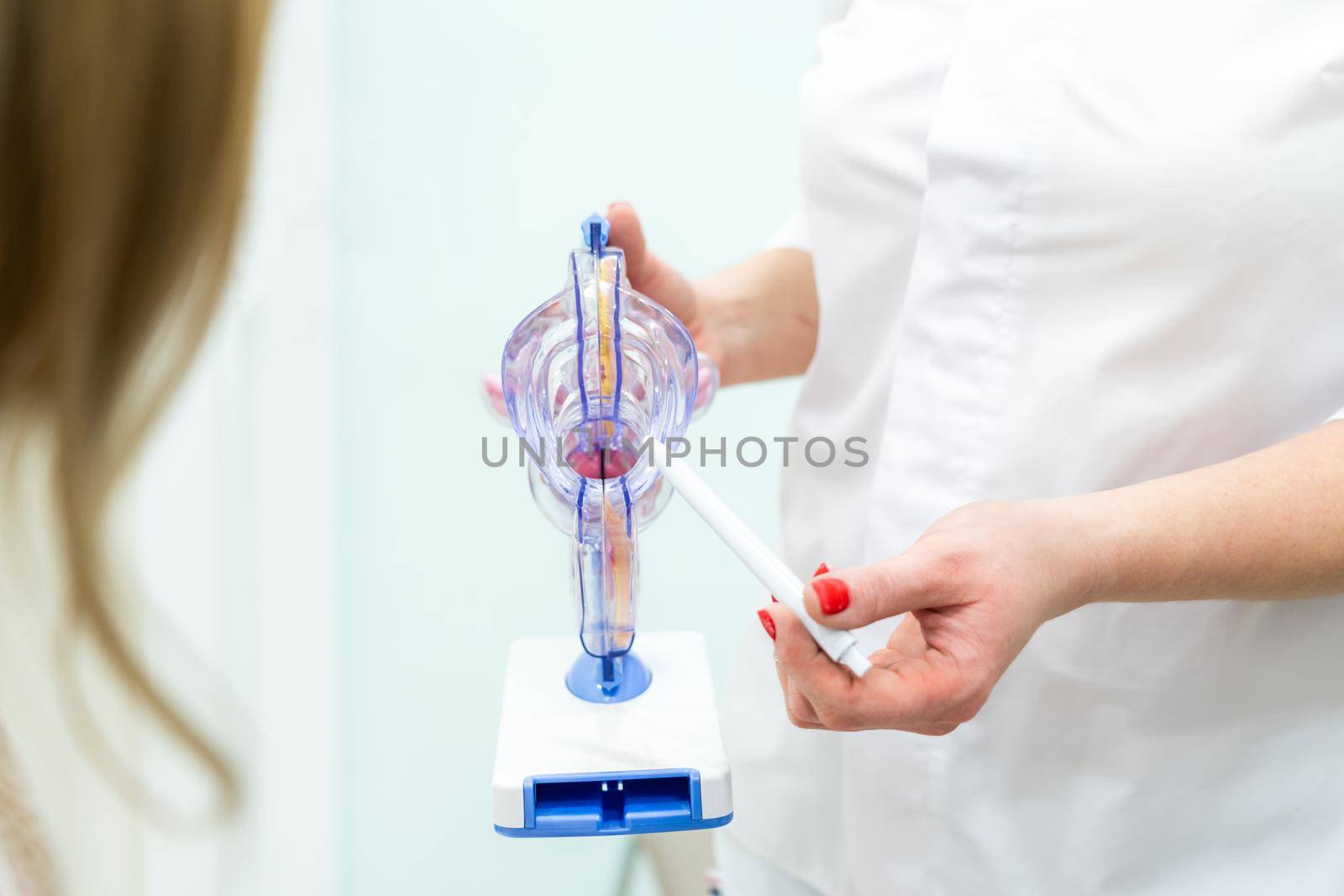 Gynecologist doctor consulting patient using uterus anatomy model