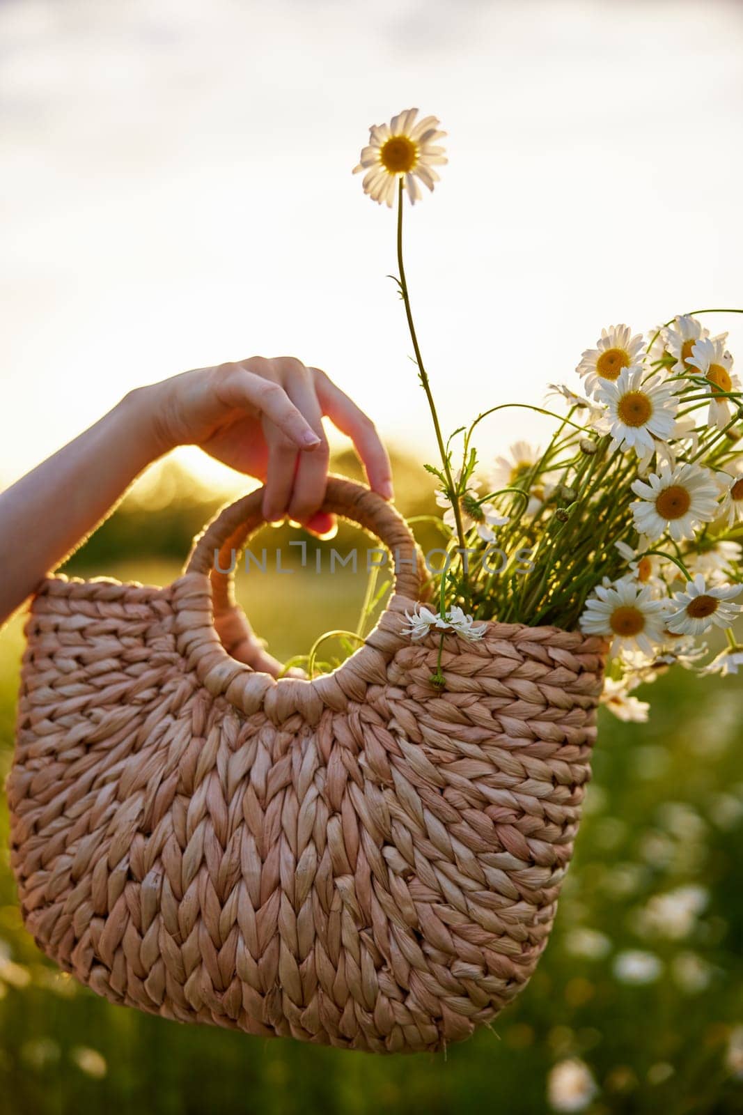 a woman holds a wicker basket with daisies in her hand against the sunset sky by Vichizh