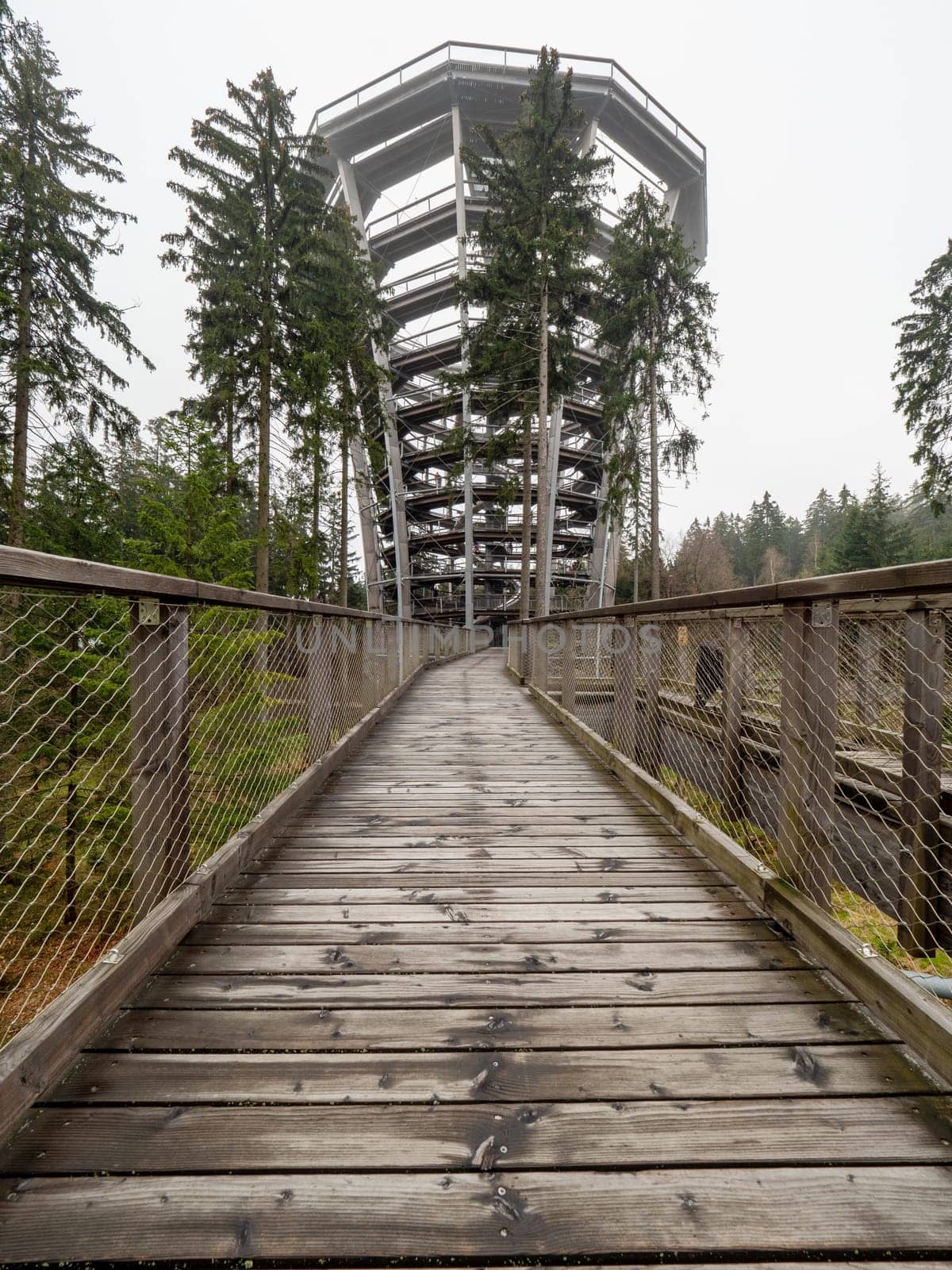 Tree Top Trail Watchtower, Stezka Korunami Stromu, Janske lazne town, Czechia. Wooden Watch Tower 42,7 metres high.