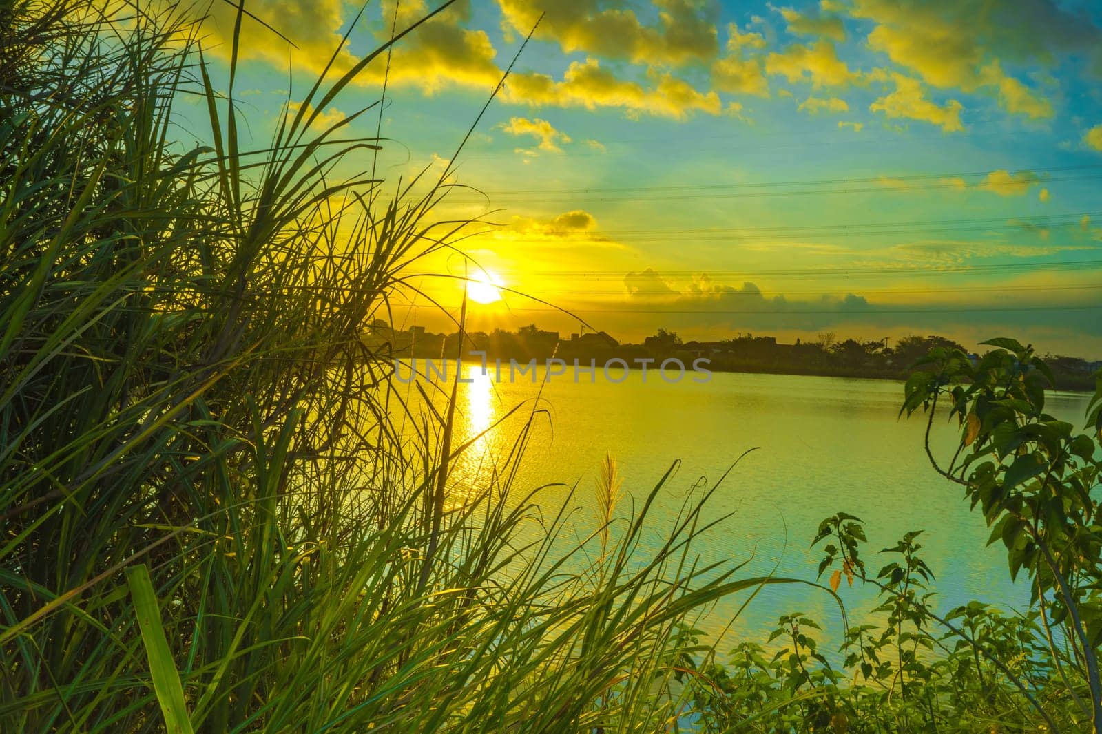 Sunset over the lake with trees and grass as foreground in Surabaya, Indonesia.