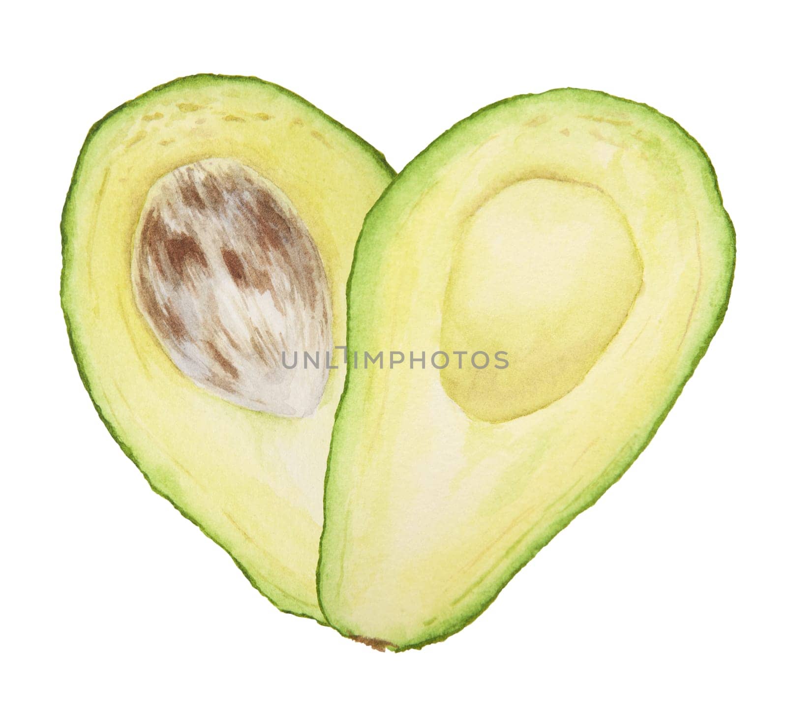 Avocado halfs watercolor hand drawn realistic illustration. Green and fresh art of salad, sauce, guacamole, smoothie ingredient. For textile, menu, cards, paper, package, cooking books design