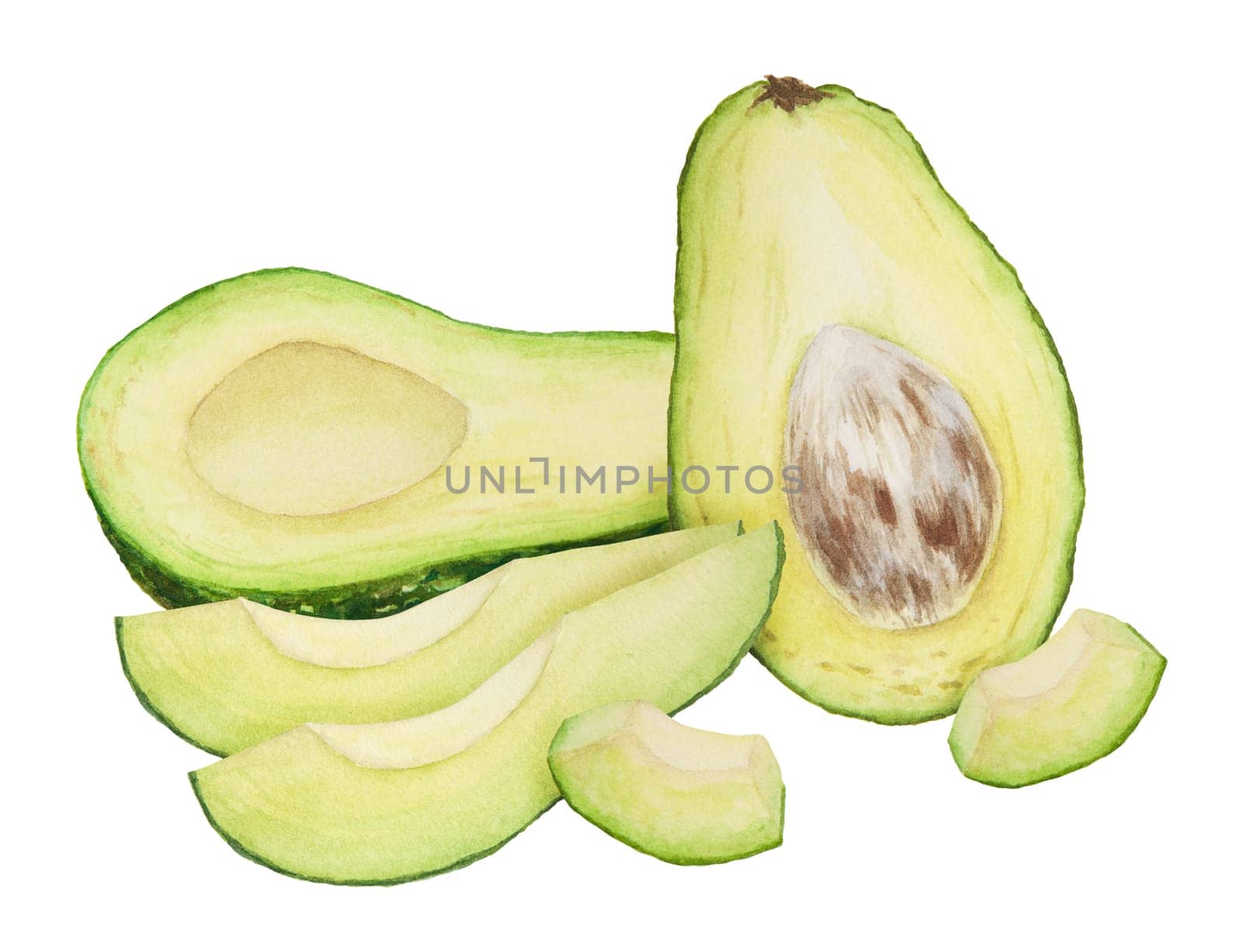 Avocado pieces with leaves and flowers watercolor hand drawn realistic illustration. Green and fresh art of salad, sauce, guacamole, smoothie ingredient. For textile, menu, cards, paper, package, cooking books design