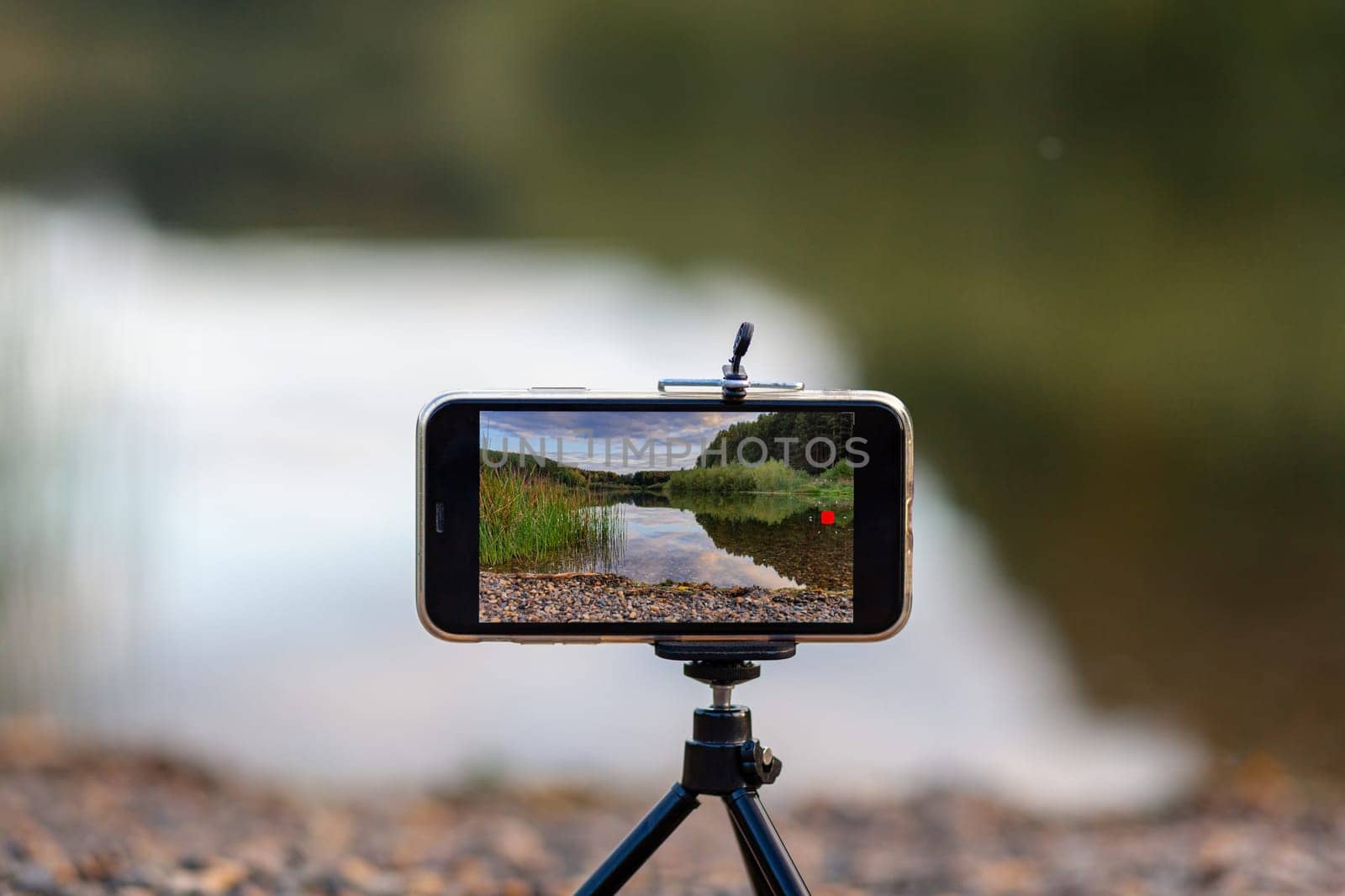 A close up of the phone on a tripod takes a video or a photo of nature. A beautiful lake in the forest with clouds in the screen of the photographer's mobile phone.