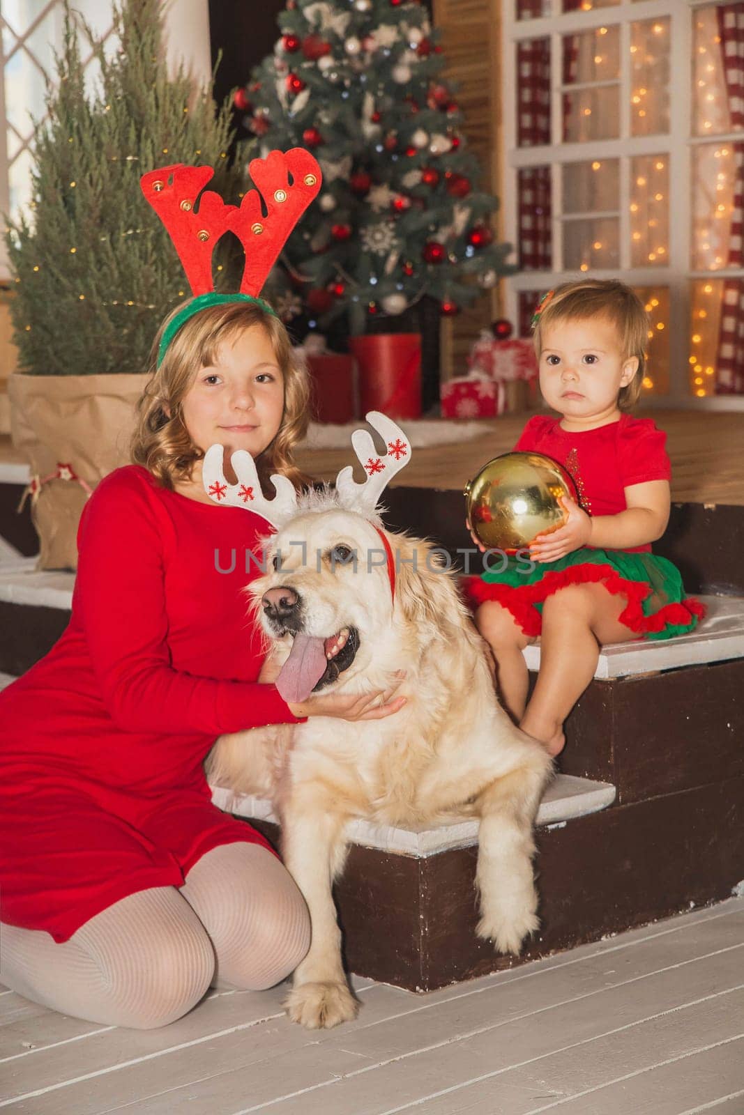sisters with their dog in Christmas outfits are sitting on the porch by Viktor_Osypenko
