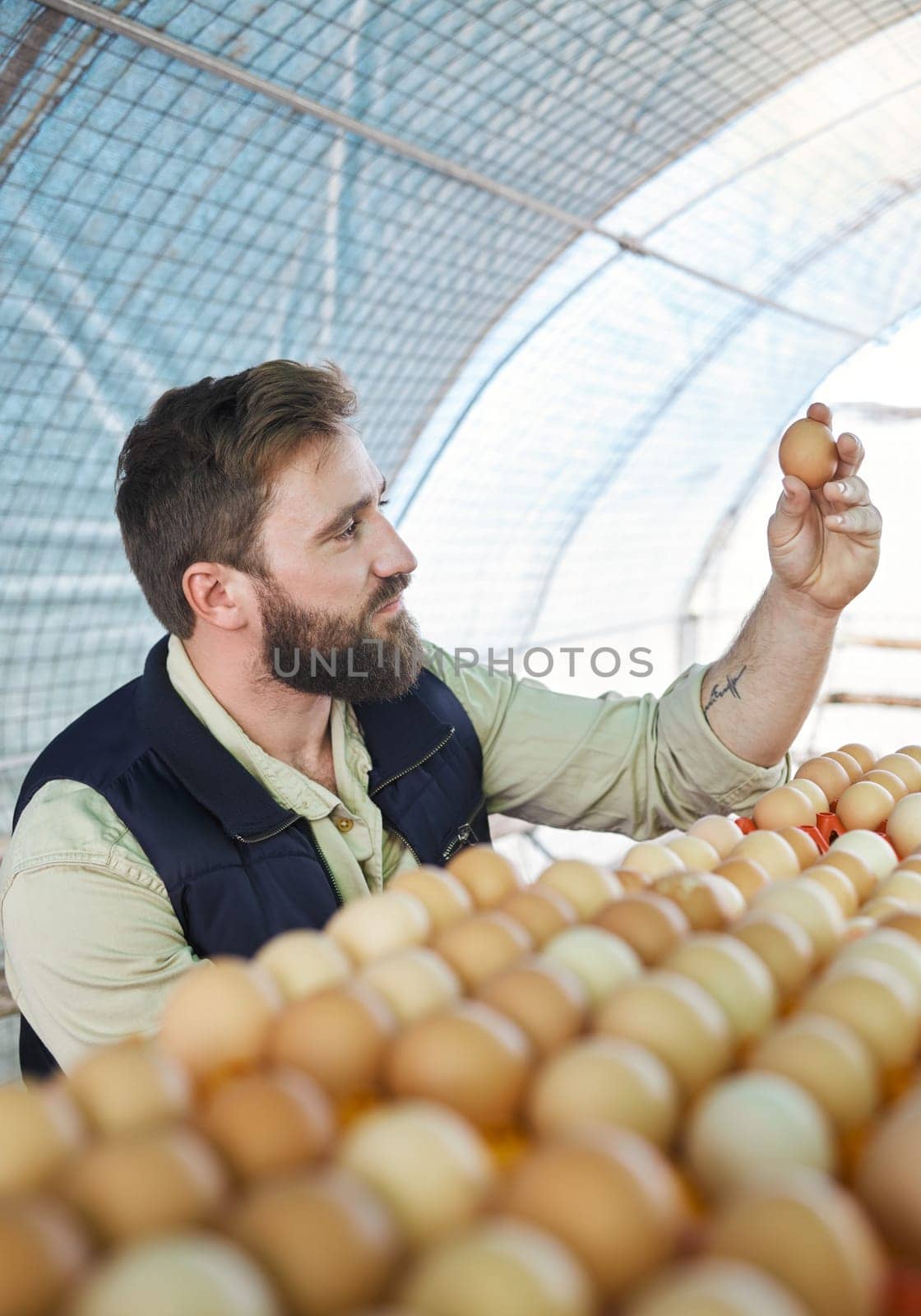 Farm, agriculture and farmer with egg for inspection, growth production and food industry. Poultry farming, countryside and man checking chicken eggs for order, protein market and quality control by YuriArcurs