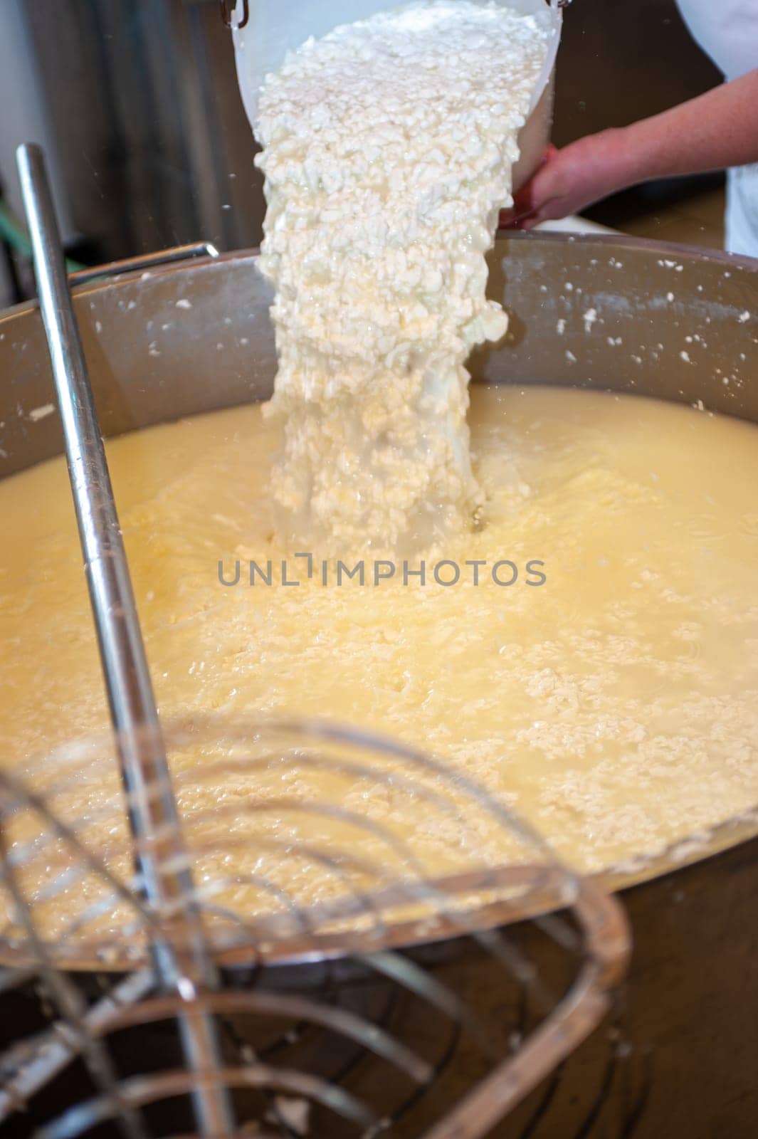 Cheesemaker cooking stirring italian bufalo organic milk in stainless steel caudrons, to produce ricotta cheese, italian food excellence worldwide export.