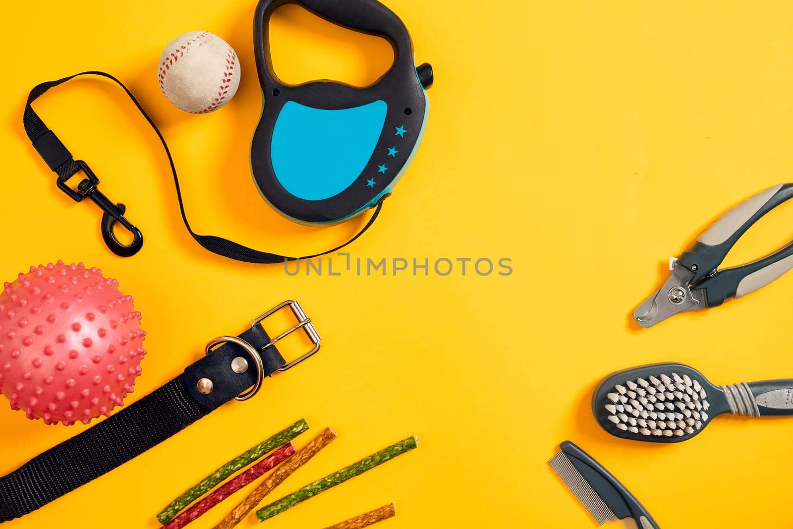 Dog accessories on yellow background. Top view. Pets and animals concept. Still life. Copy space. Flat lay