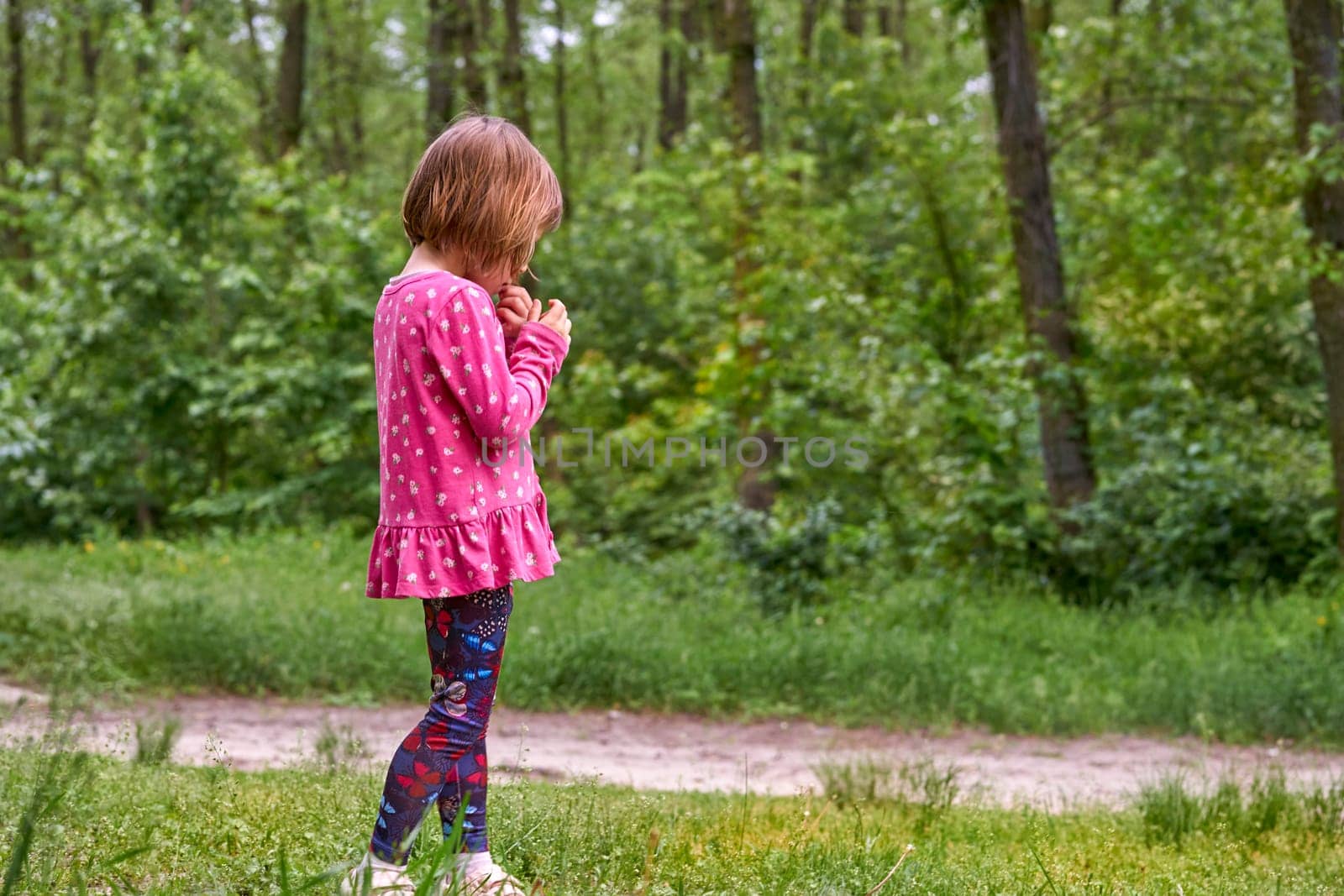 A little preschool child girl in a pink dress walks in a green forest, thinking by jovani68