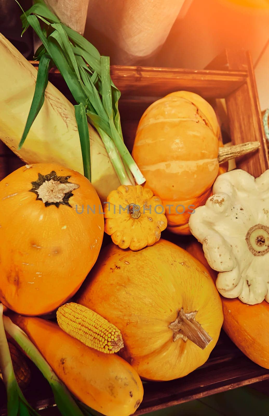 Autumn harvest, pumpkins, zucchini and green onions. Vegetables are in a wooden box.