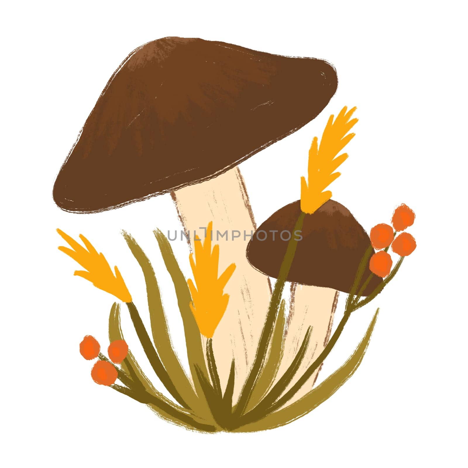 Hand drawn illustration of summer brown mushroom with grass herbs flowers. Fall autumn nature wood woodland forest, cute drawing fungus fungi wild poisonous edible shrooms. by Lagmar