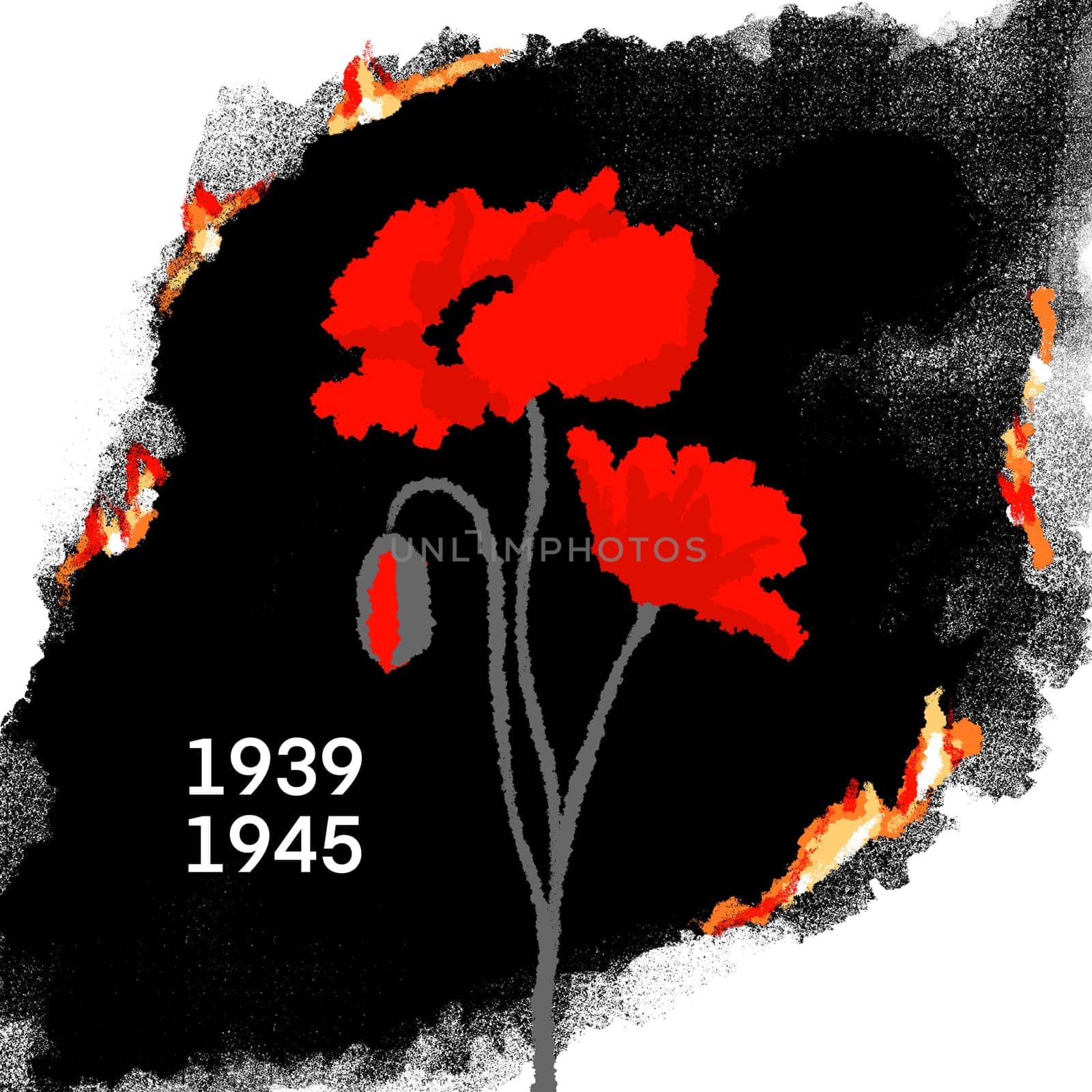 Hand drawn illustration of world war ii two second with red poppies, poppy flower 1939 1945 date. Fire burning paper concept, memorial commemoration poster, rememberance day military symbol history victory design