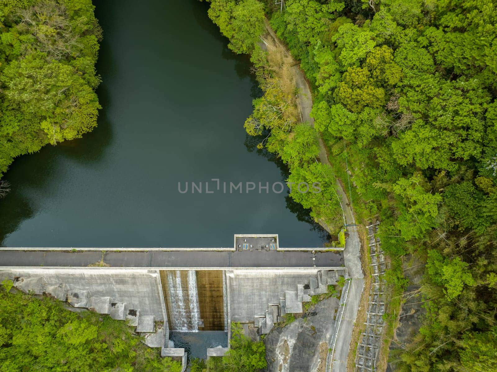 Small dam holds back water in storage reservoir surrounded by trees. High quality photo