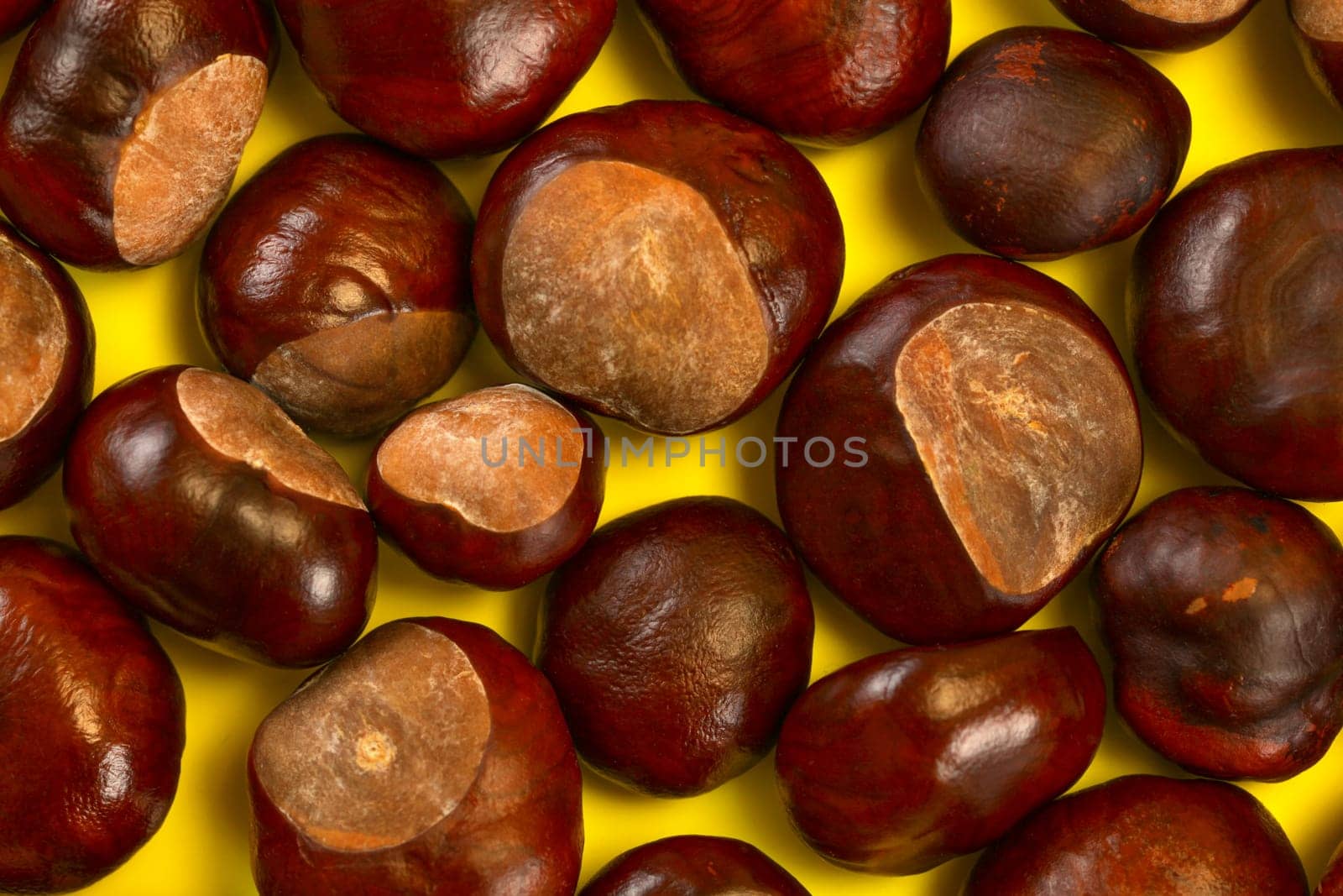 Detailed top view - horse chestnuts on yellow board.