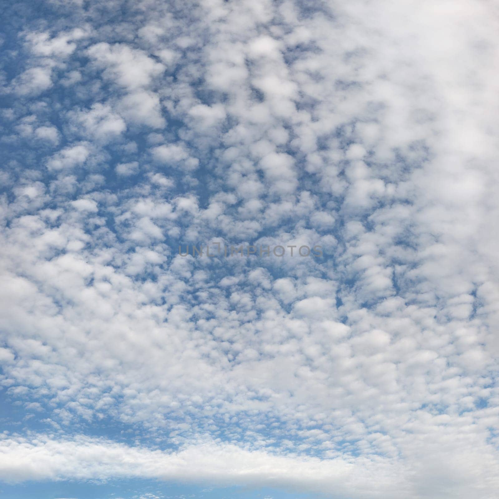 High resolution photo of sky with fluffy ( altocumulus - cirrocumulus / mackerel skies ) clouds. by Ivanko