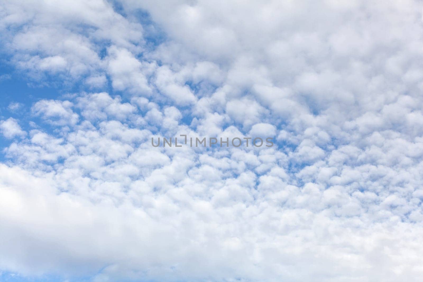 Sky with fluffy ( also called mackerel ) clouds