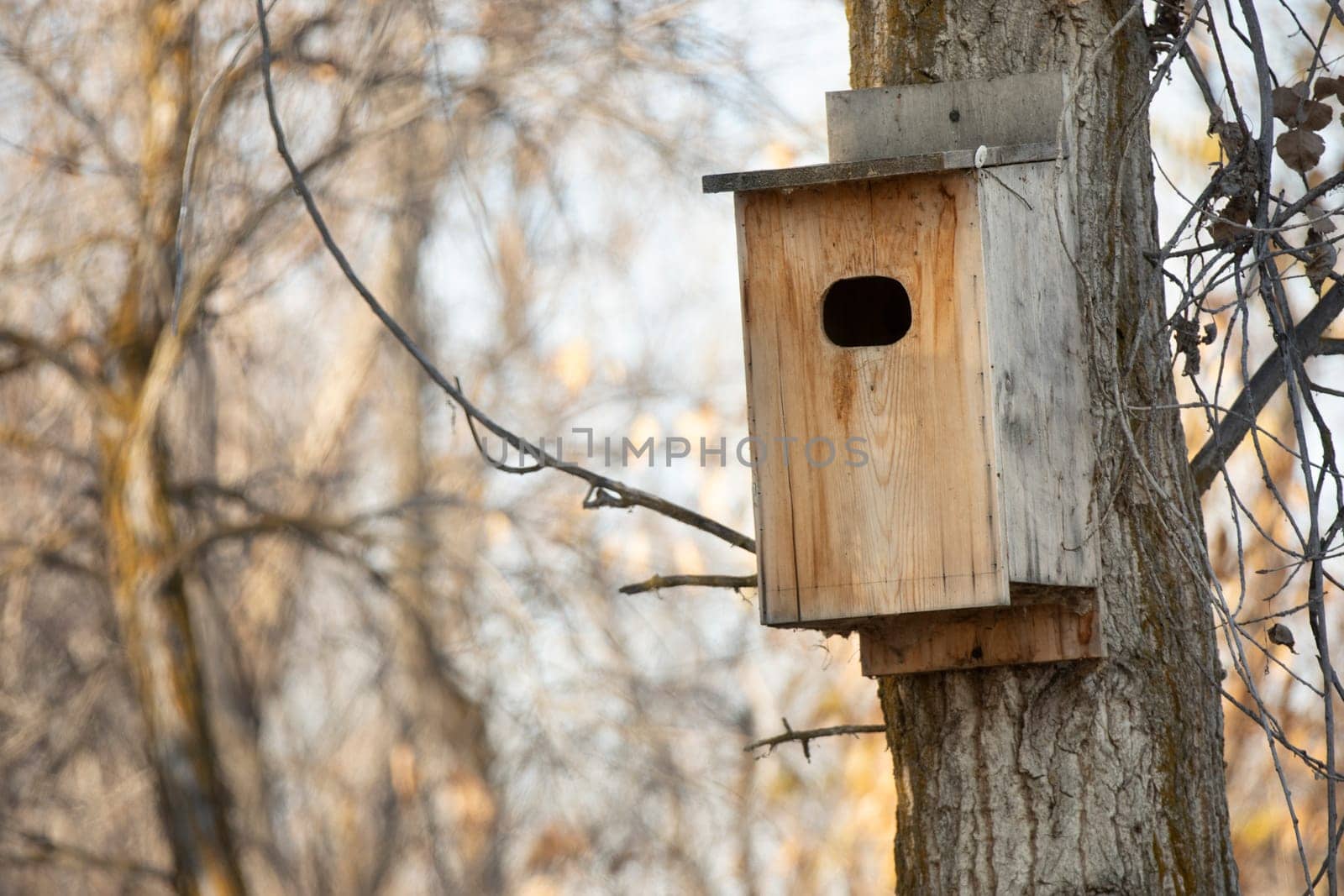 weathered bird house on a tree during winter