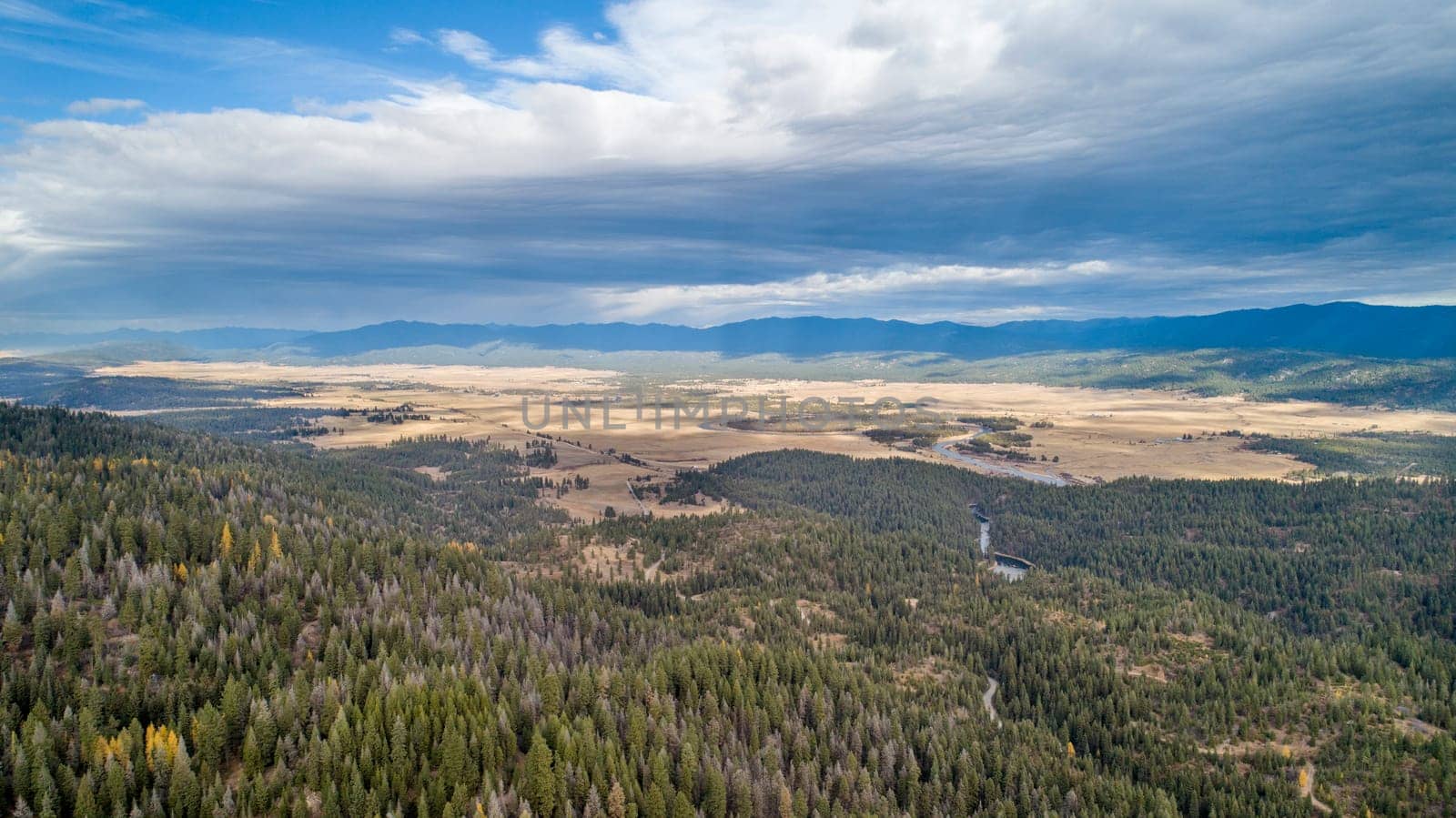 forest on the mountains with a valley below