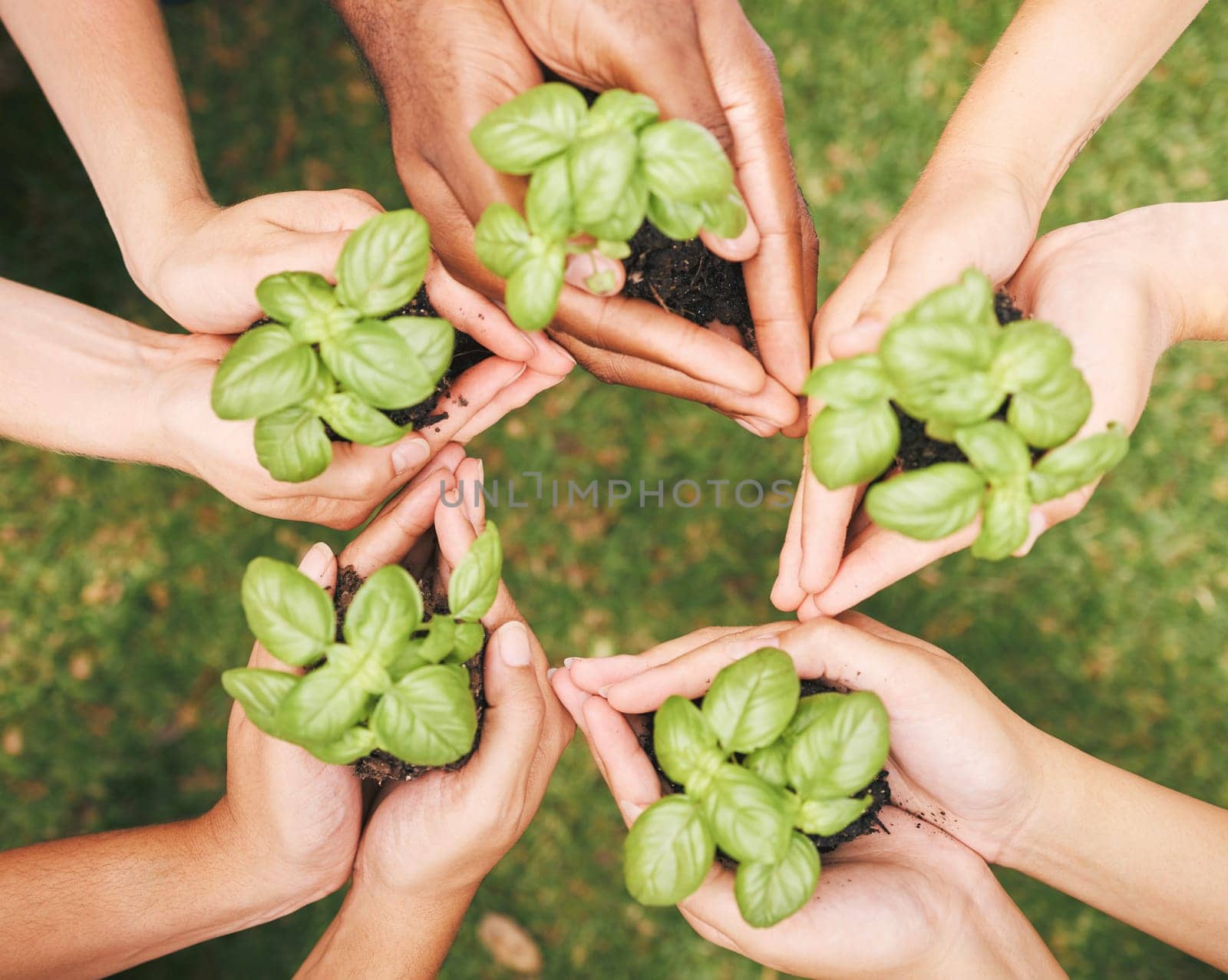 Environment, earth day and hands of a global community using teamwork, collaboration and diversity for sustainability. Carbon capture, accountability and diverse group together for growth development by YuriArcurs