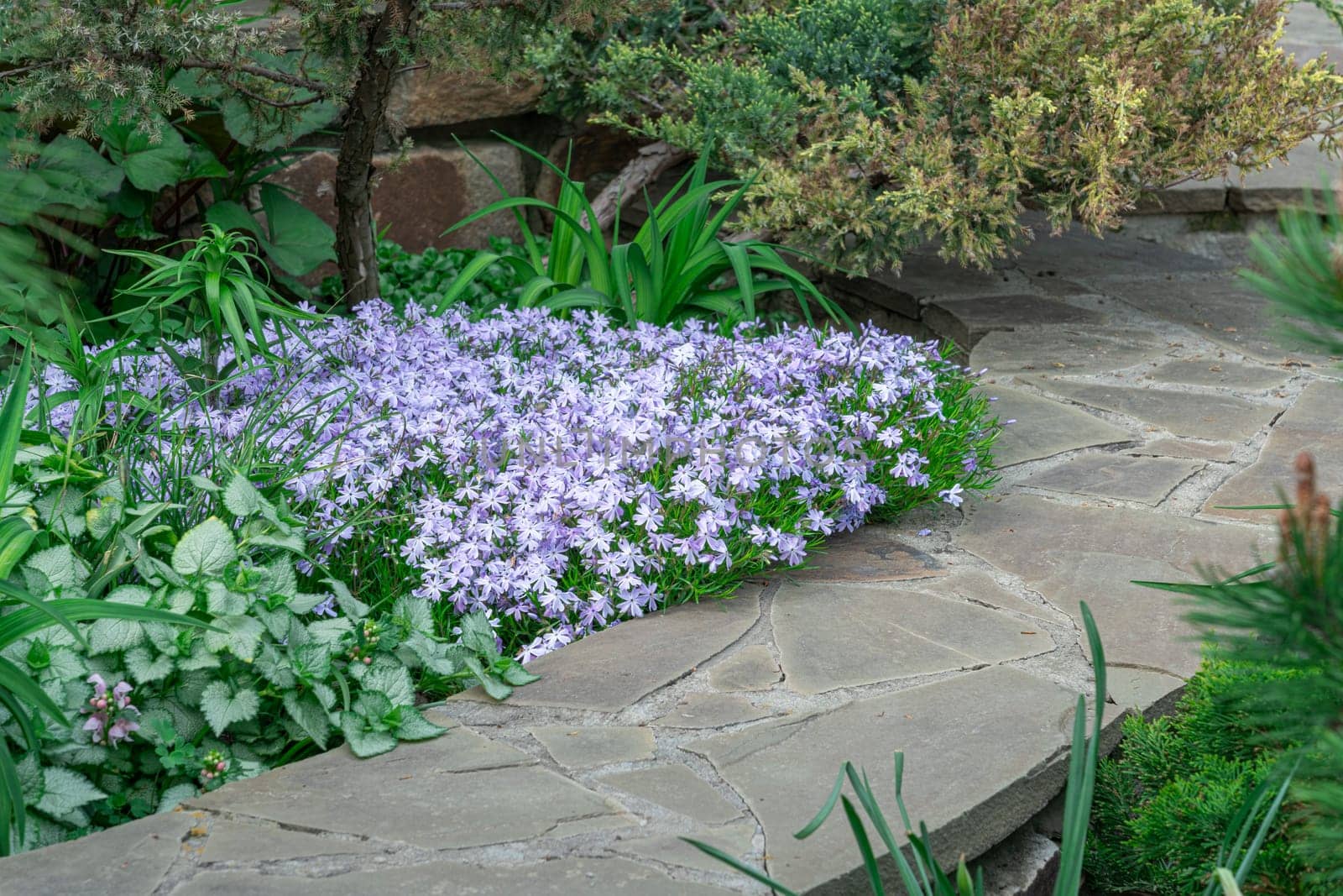 beautiful flower bed at the house in the park. photo