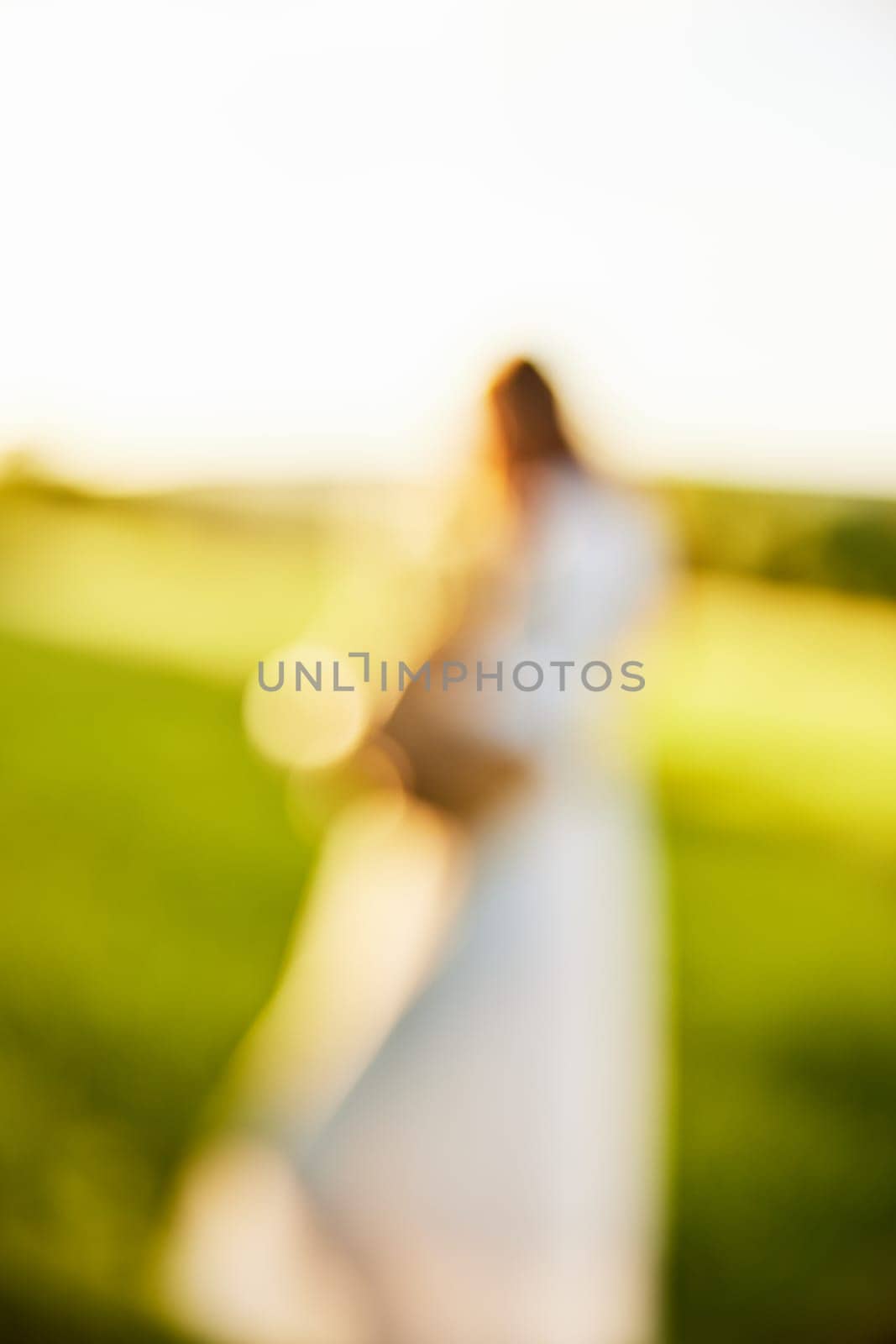 photograph of a bright silhouette at sunset out of focus. High quality photo