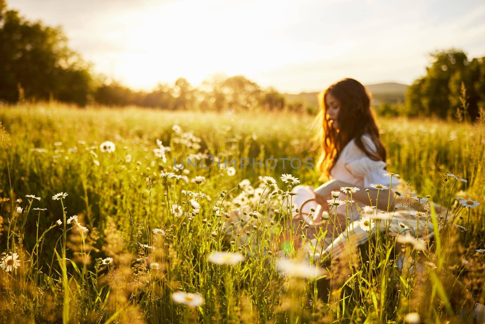 woman sitting in a field with daisies in a light dress out of focus by Vichizh