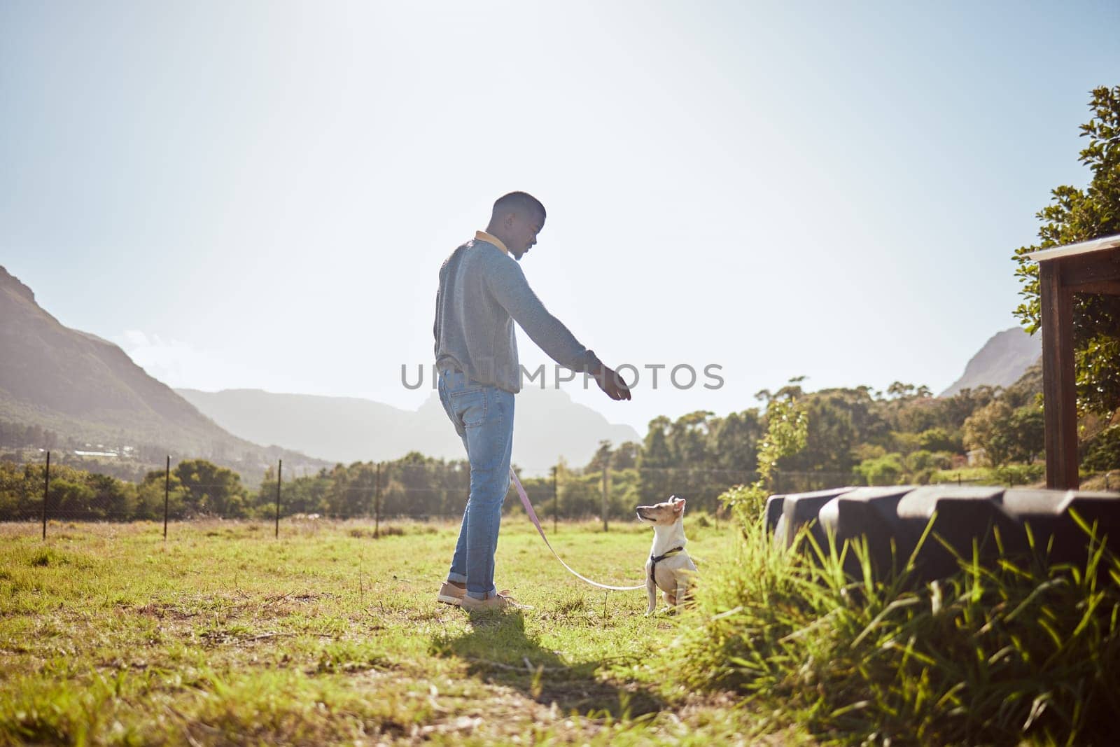 Man training dog pets at park, garden and outdoors on a leash with sky background. Black man walking a jack russell terrier puppy animal and learning trick, command or play on grass field in nature.