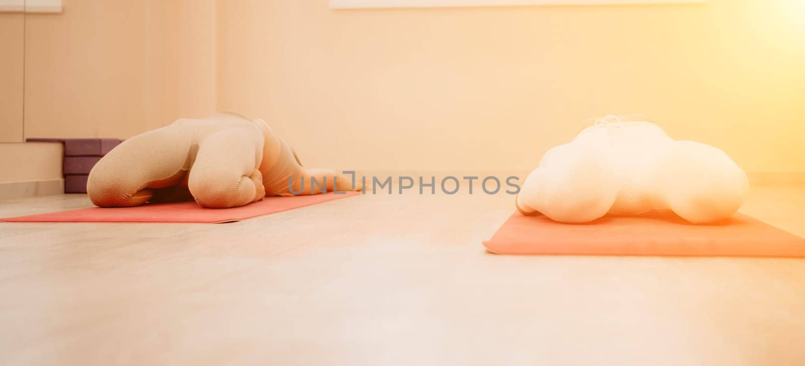 Two young sporty woman, fitness instructor in sportswear doing stretching and pilates on yoga mat in the studio with mirror. Female fitness yoga routine concept. Healthy lifestyle and harmony. by panophotograph