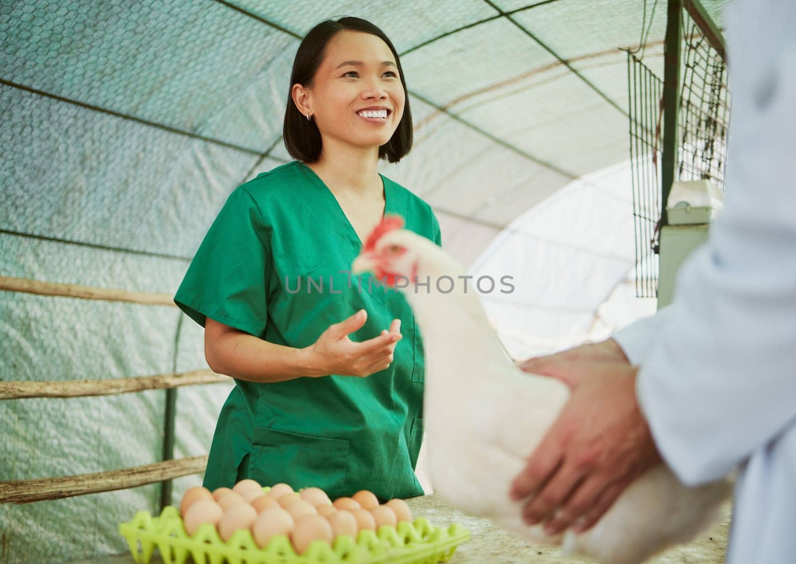 Woman, chicken eggs or farming customer on countryside agriculture, sustainability environment or industry coop. Happy smile, talking poultry farmer or man in production sales deal or retail export.