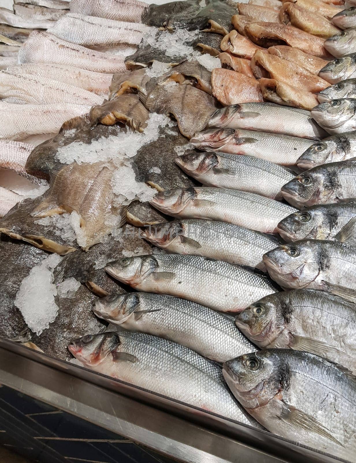 Food background close-up. There are many varieties of fresh fish on the ice lying in a row. Sale of fresh frozen fish at the fish market by claire_lucia