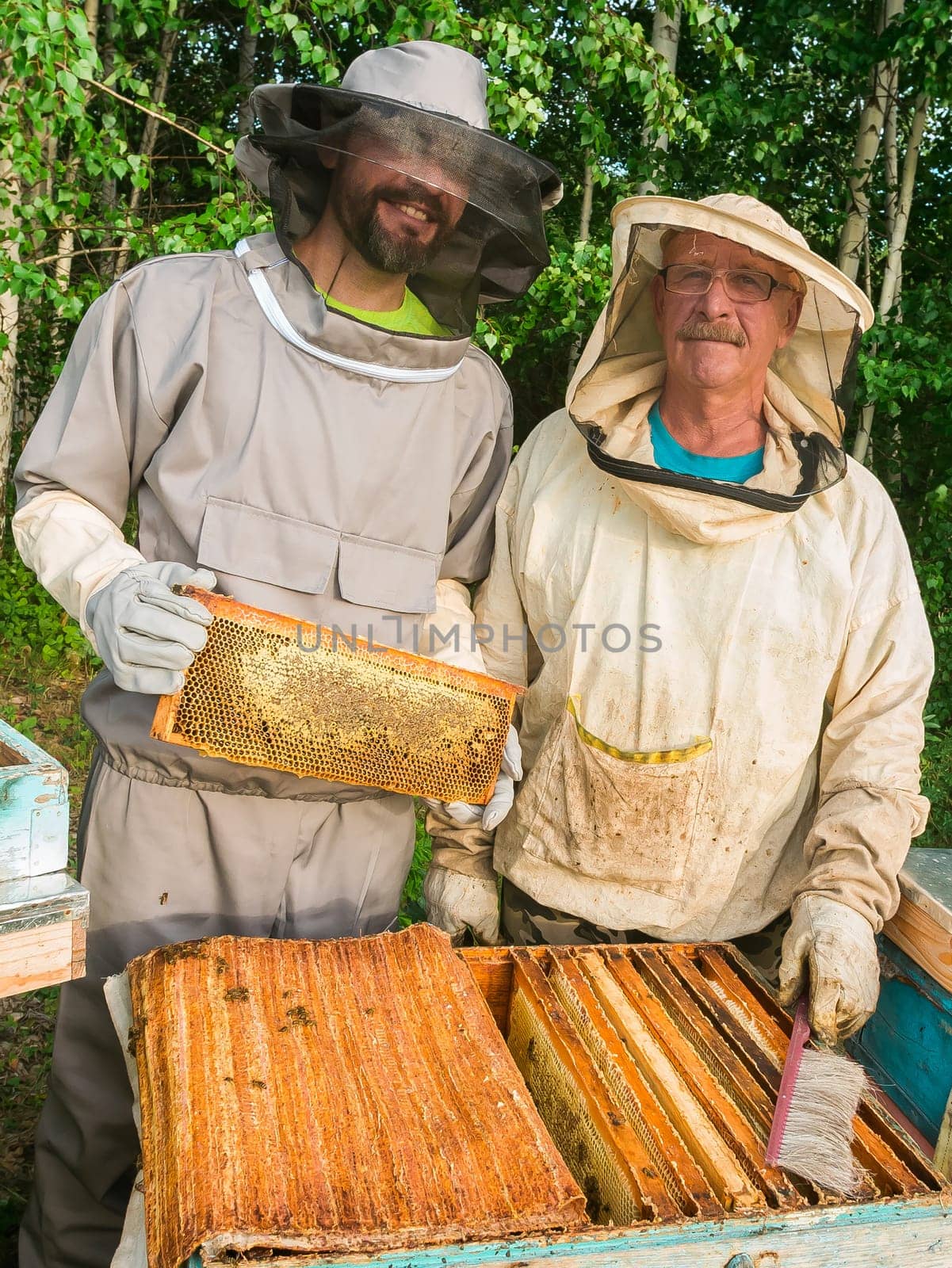 Portrait of two male beekeeper working in an apiary near beehives with bees. Collect honey. Beekeeper on apiary. Beekeeping concept. by Satura86