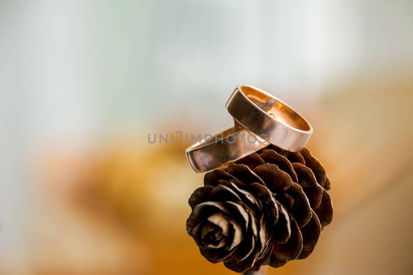 Beautiful two gold wedding rings lying on a pile of pine cones
