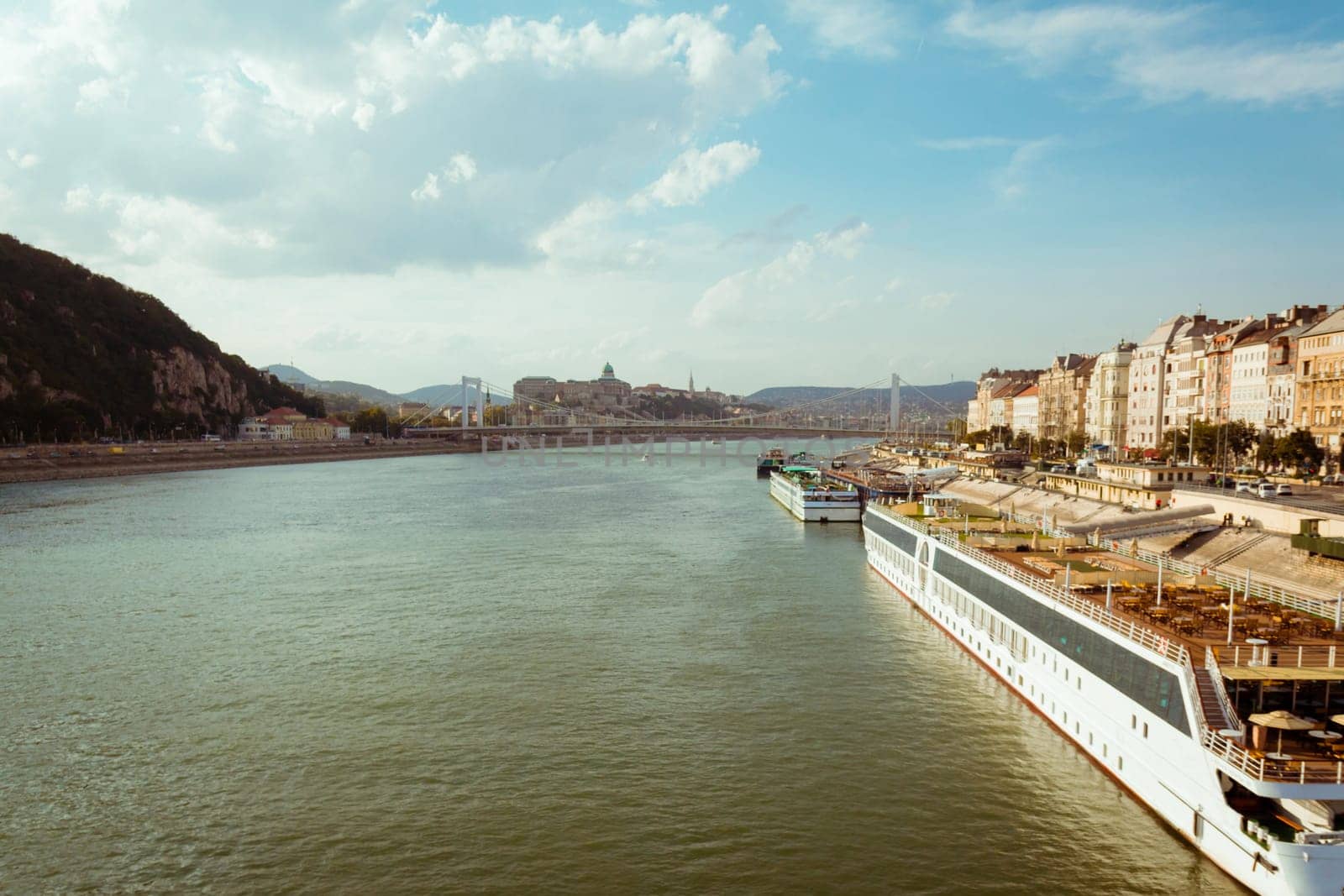 Budapest cityscape in Hungary with Buda Castle and Elizabeth Bridge over Danube river.
