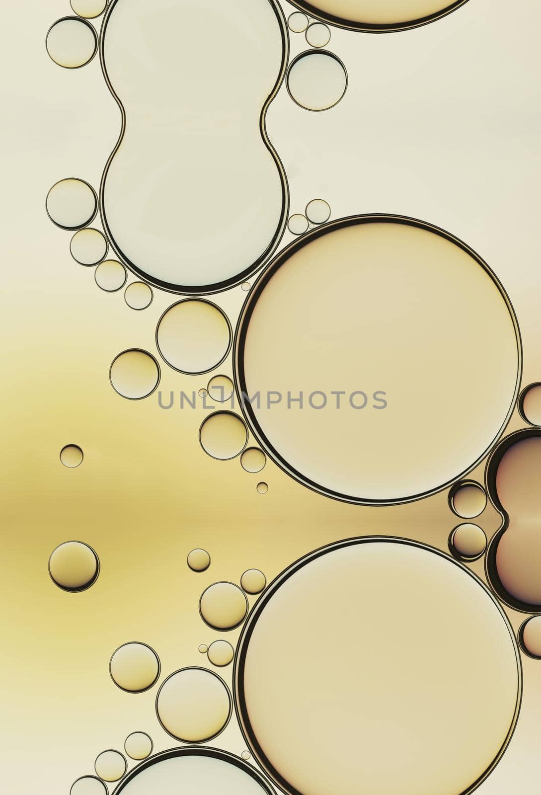 Oil Bubbles Isolated on White Background, Closeup Collagen Emulsion in Water. Illustration. Gold Serum Droplets. by DmytroRazinkov