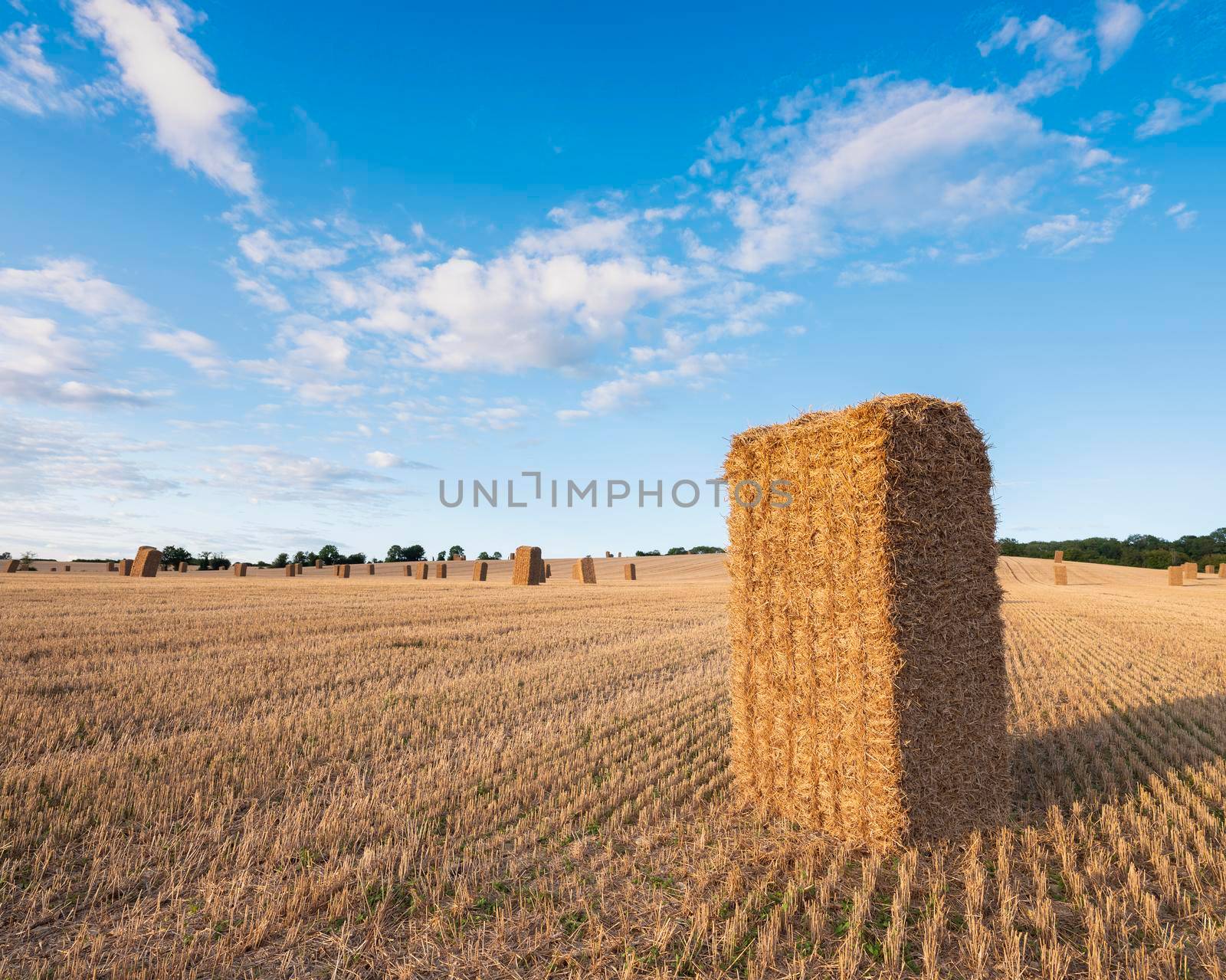 standing straw bales in french field under blue sky in morvan after harvest