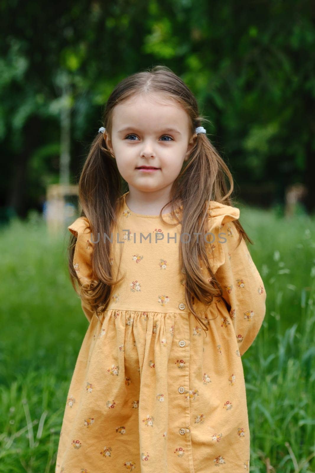 Portrait of a cute little preschool girl in a spring park. by leonik