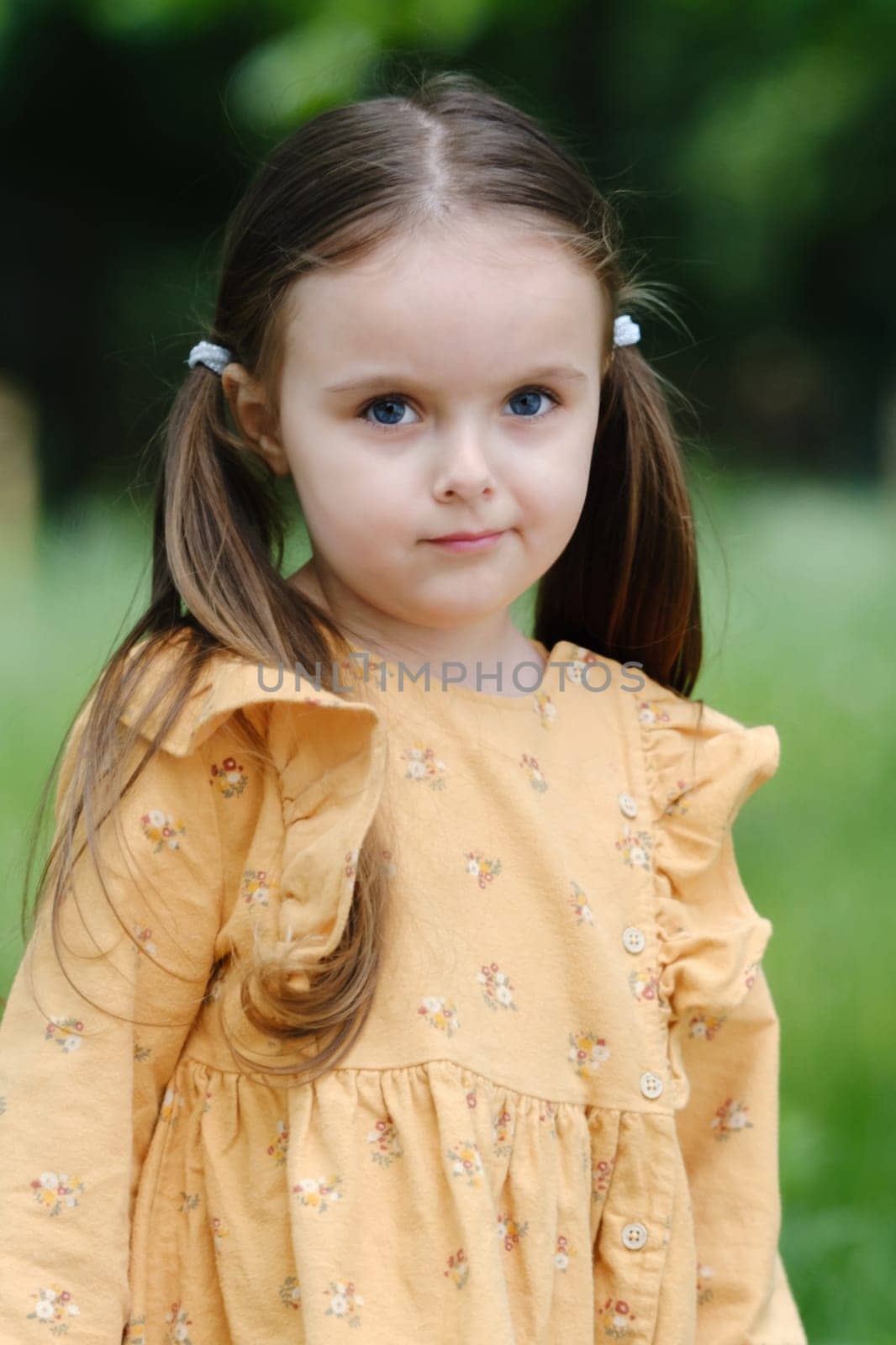Portrait of a cute little preschool girl in a spring park. by leonik