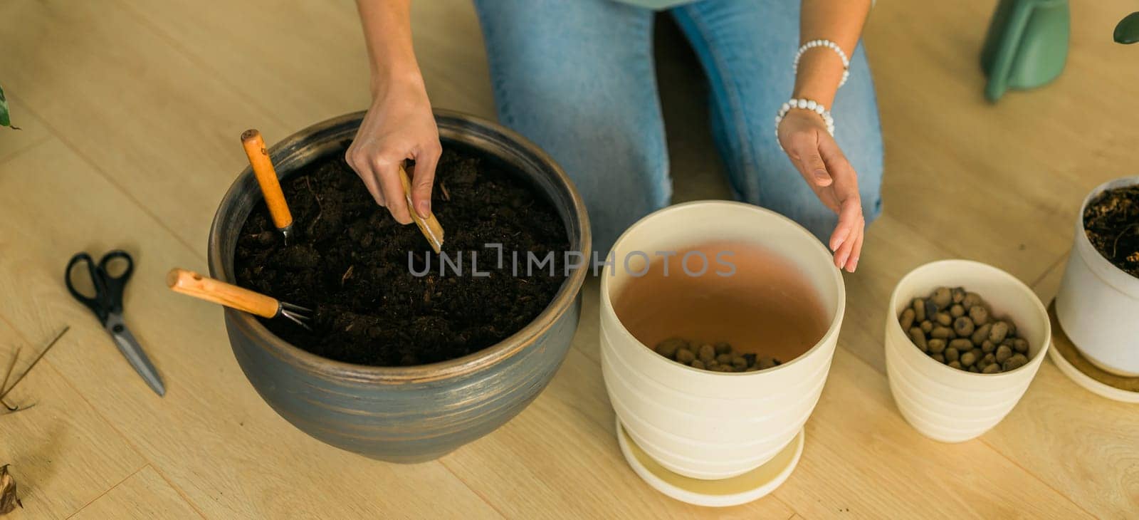Woman transplanting green plant into new pot. Houseplant and home gardening