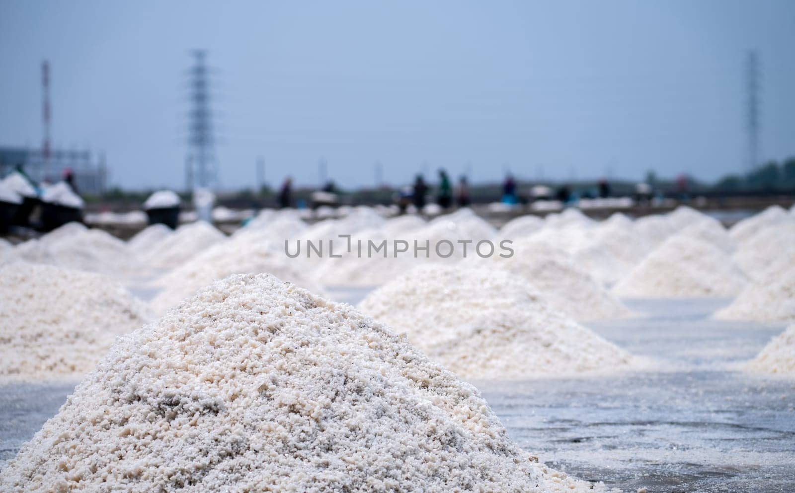 Sea salt farm and blur worker working on farm. Brine salt. Raw material of salt industrial. Sodium Chloride. Evaporation and crystallization of sea water. White salt harvesting. Agriculture industry.
