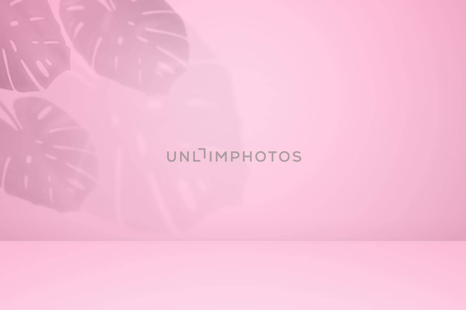Empty monstera shadow advertising background. Aesthetic monstera shadow on pink wall by PhotoTime