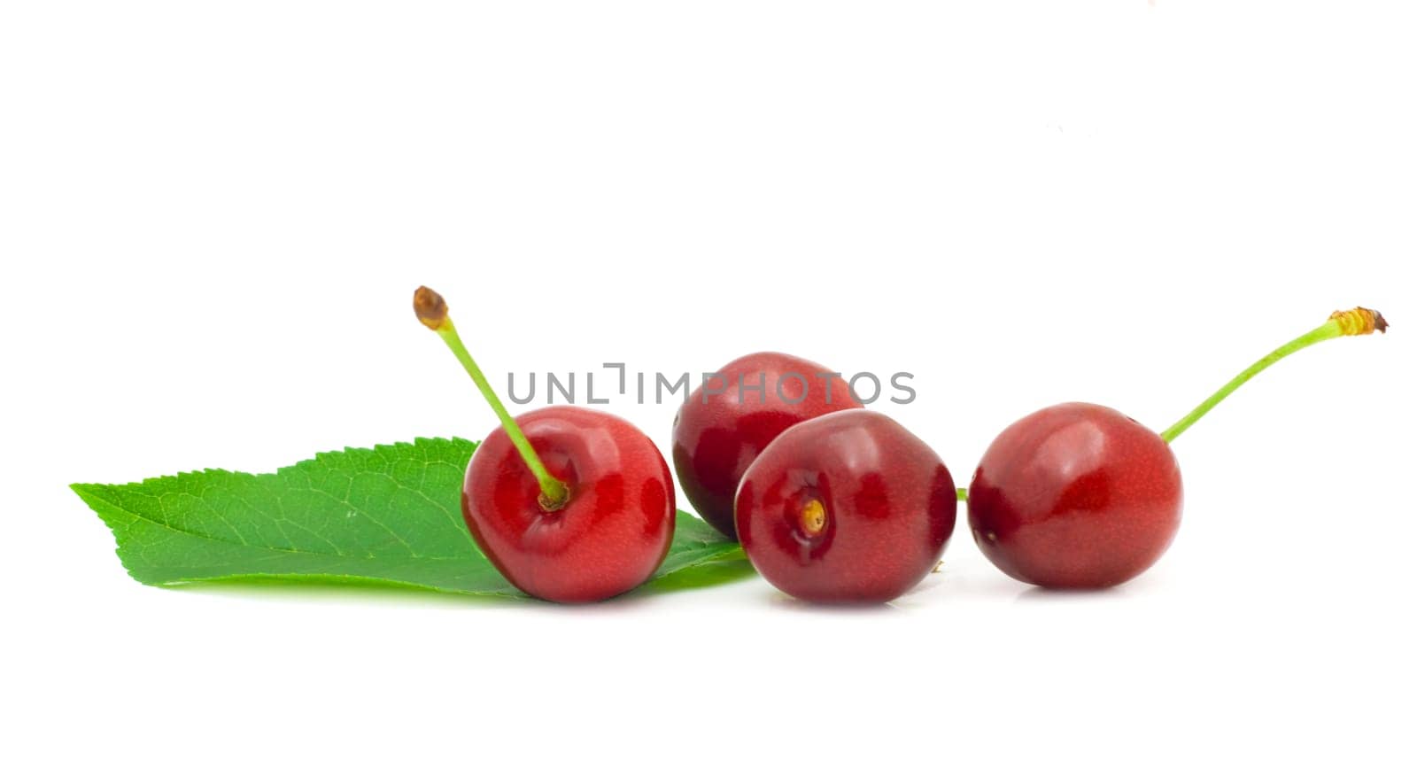 Ripe, juicy cherries on a white background