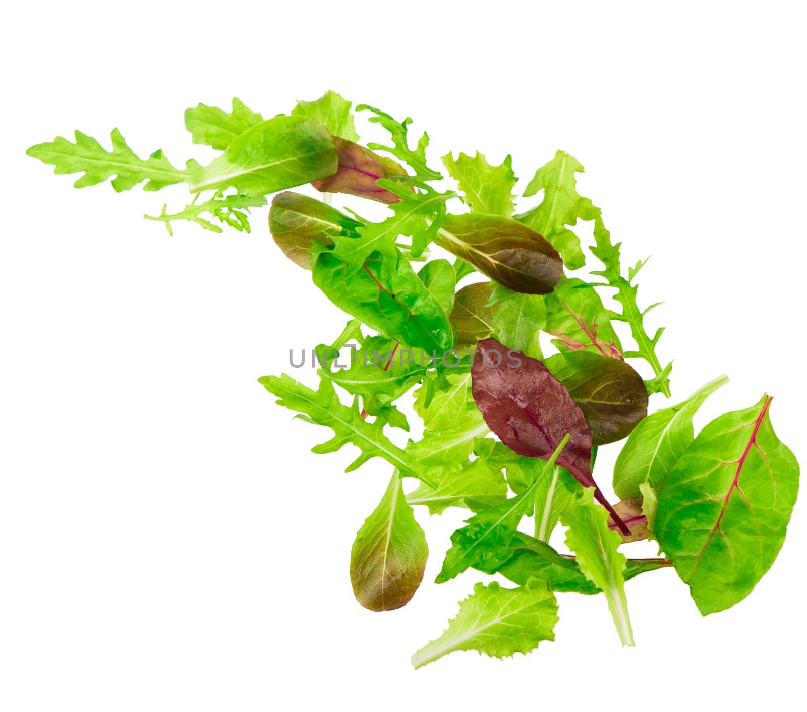 Green lettuce salad leaves pouring down isolated on white background by aprilphoto