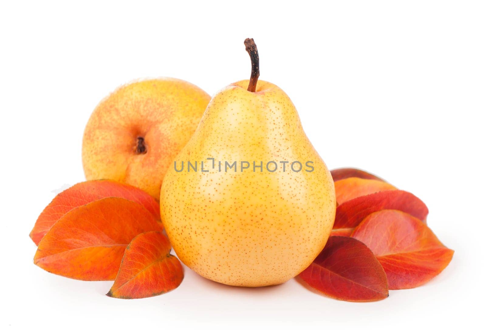 Fresh ripe fruits of pears with leaves isolated on white background by aprilphoto