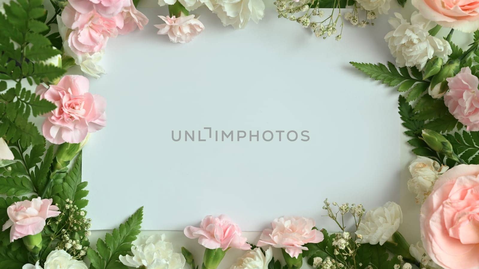 Spring floral background. Frame made of Pink roses, carnation and fern leaves on white background with copy space for text.