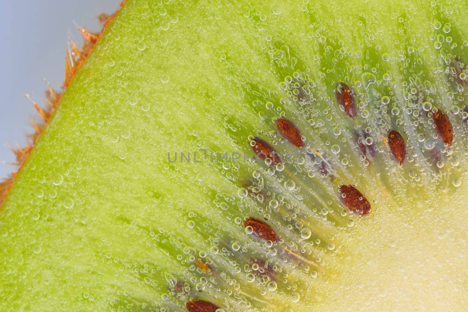 Slice of ripe kiwi fruit in water. Close-up of kiwi fruit in liquid with bubbles. Slice of ripe kiwi in sparkling water. Macro image of fruit in carbonated water