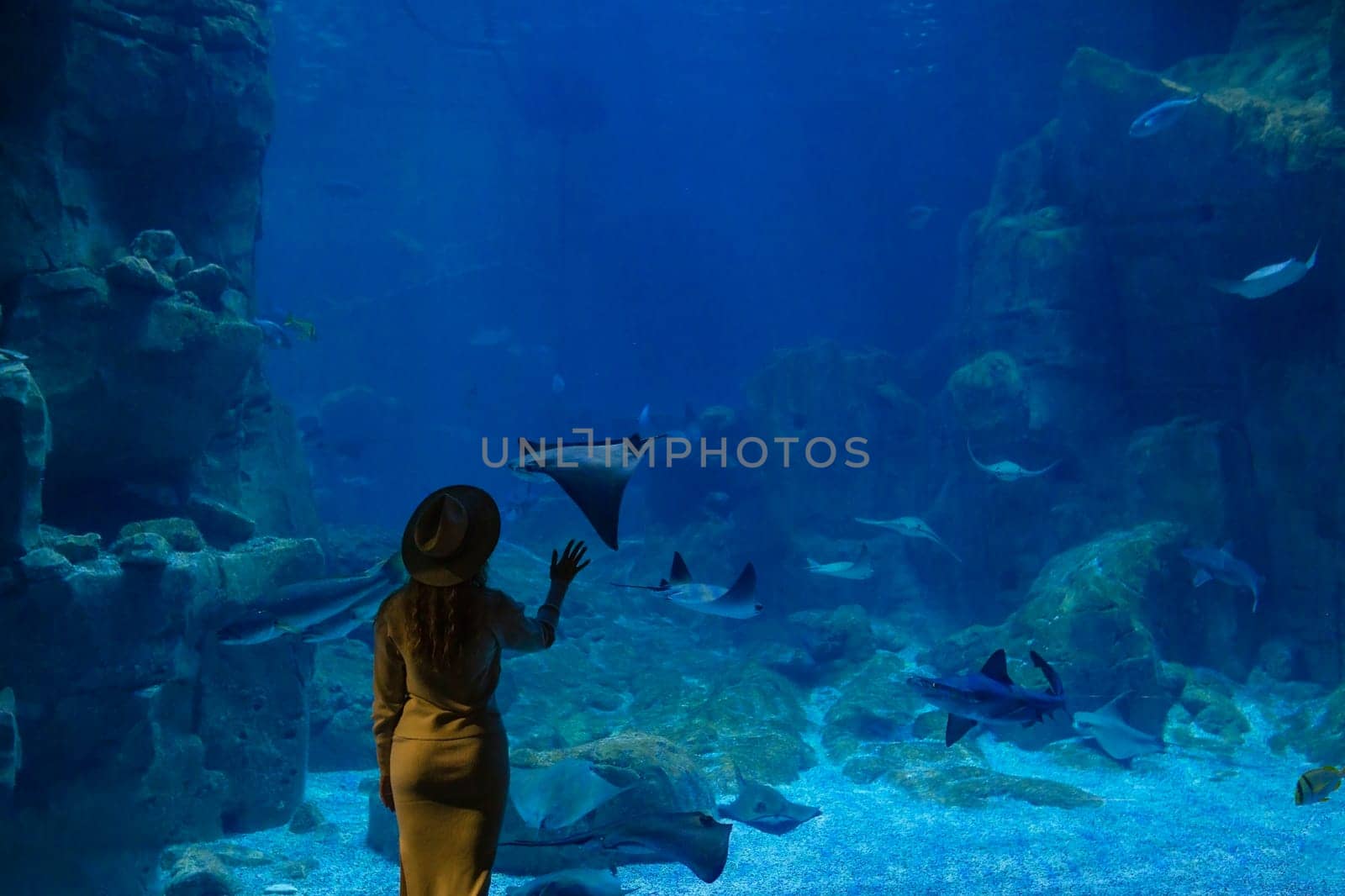 A young woman touches a stingray fish in an oceanarium tunnel.