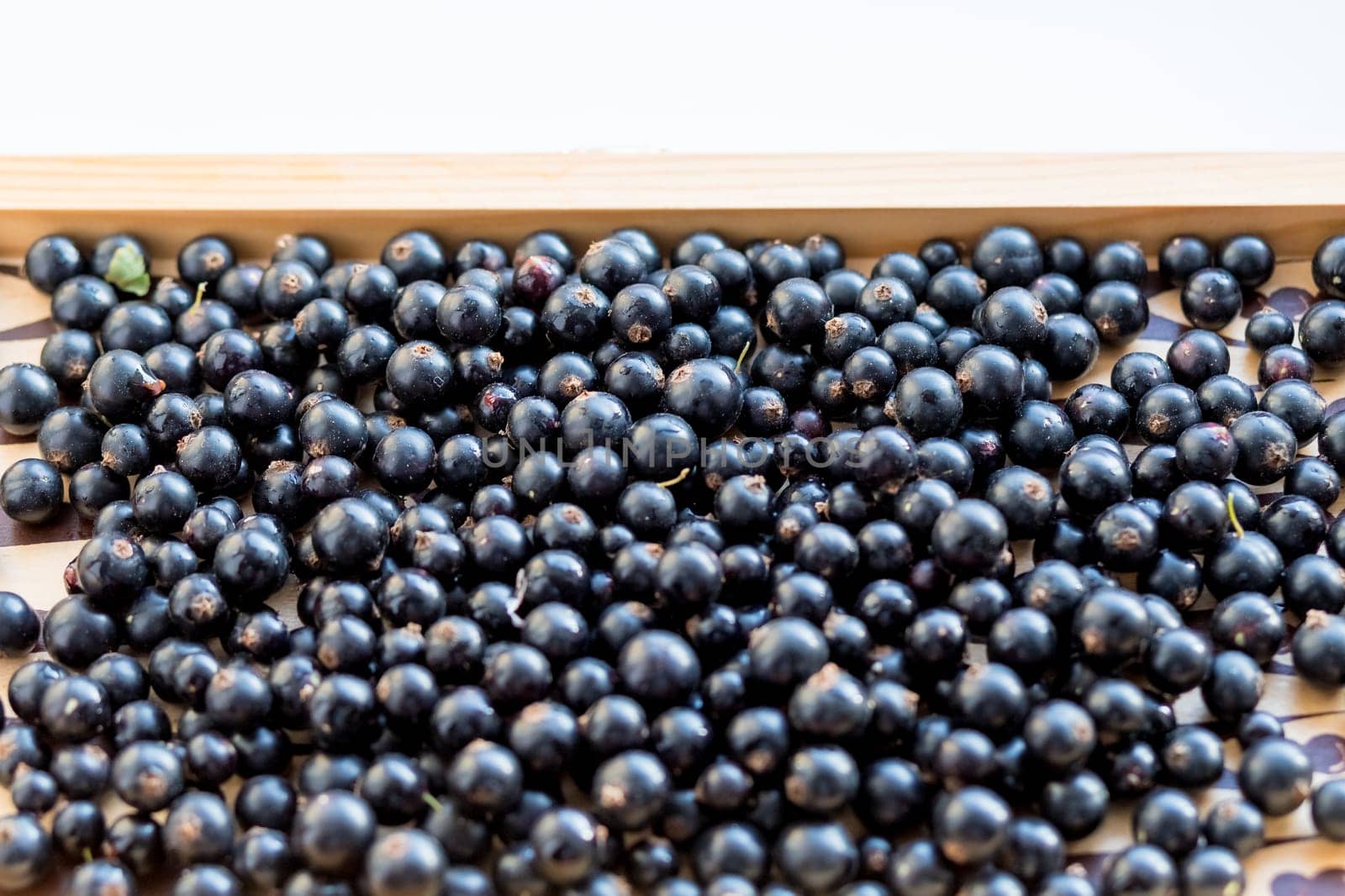 Heap of black currant. Textured background.vitamins and berries