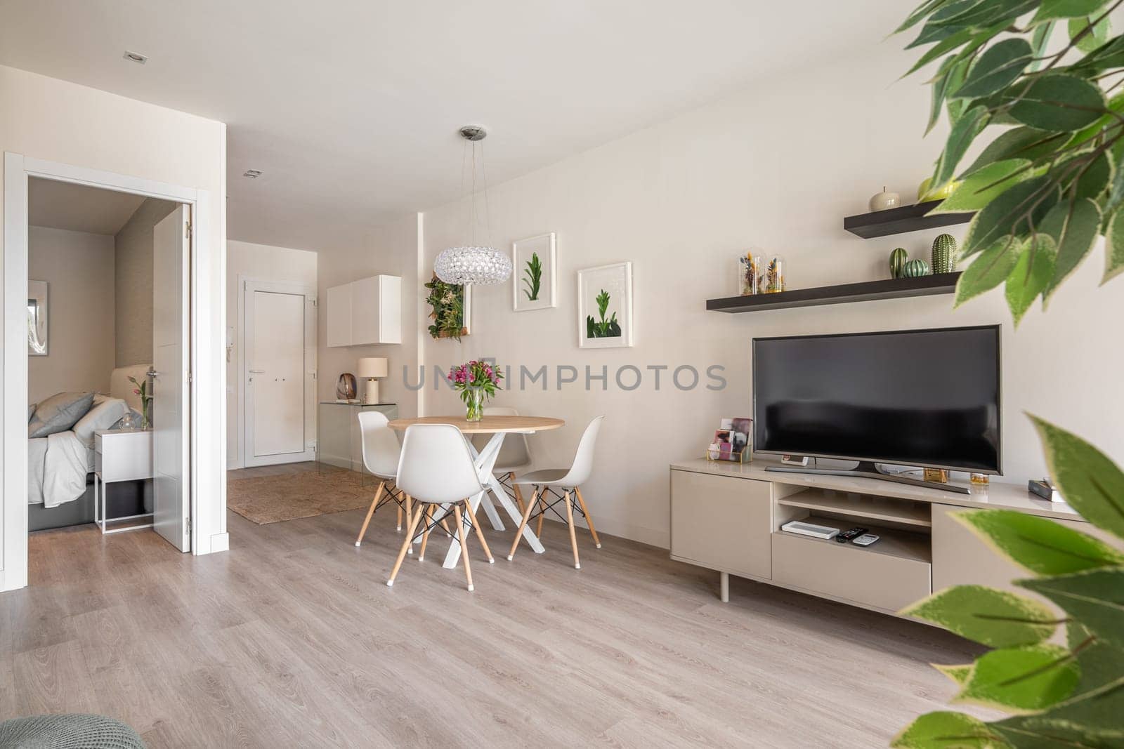Modern interior in compact apartment with a spacious combined living room with table, chairs and TV and decorative accessories overlooking the bedroom and bathroom. Stylish city real estate concept by apavlin