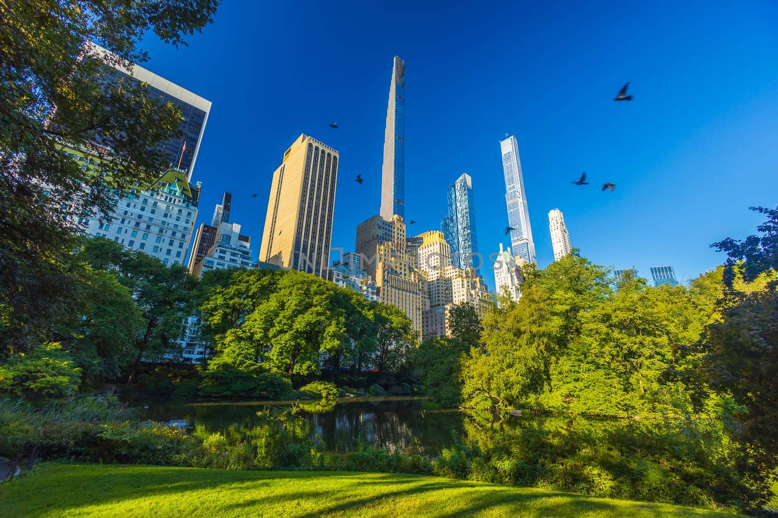 Central Park with Manhattan city skyline, cityscape of New York City USA in summer