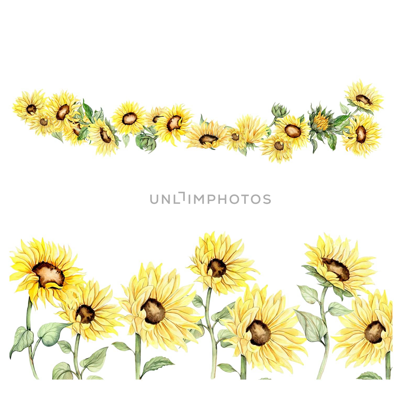 Watercolor horizontal seamless background with sunflowers set. Butterflies in cartoon style. Hand drawn illustration of summer.Perfect for scrapbooking, kids design,wedding invitation,greetings cards.
